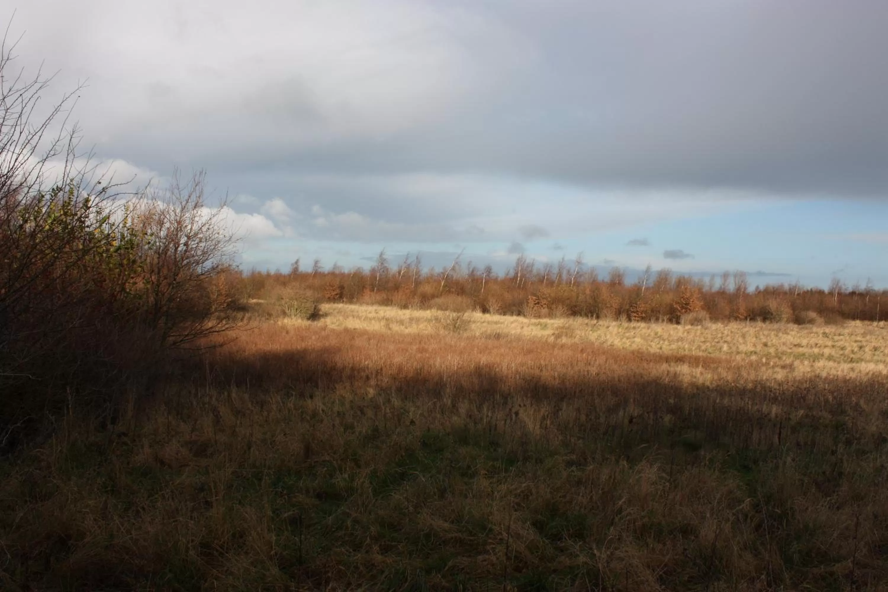 Holmehuset Bed & Breakfast