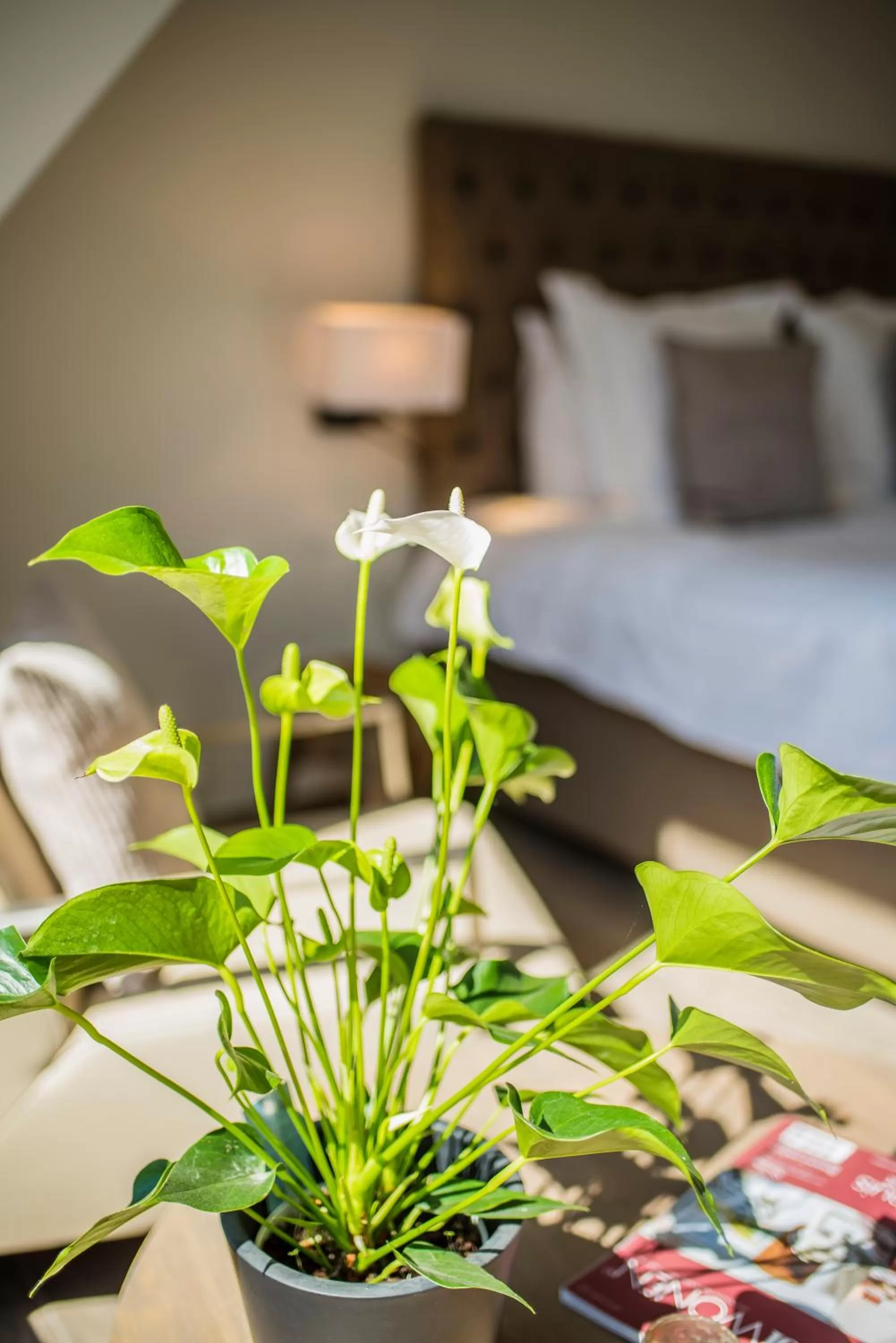 Decorative detail, Bed in Aquarand