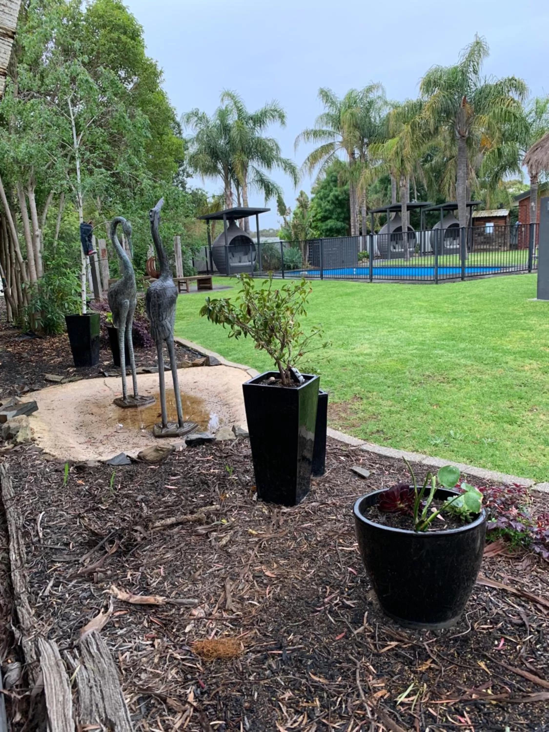 Federation Motel Resort - Corowa