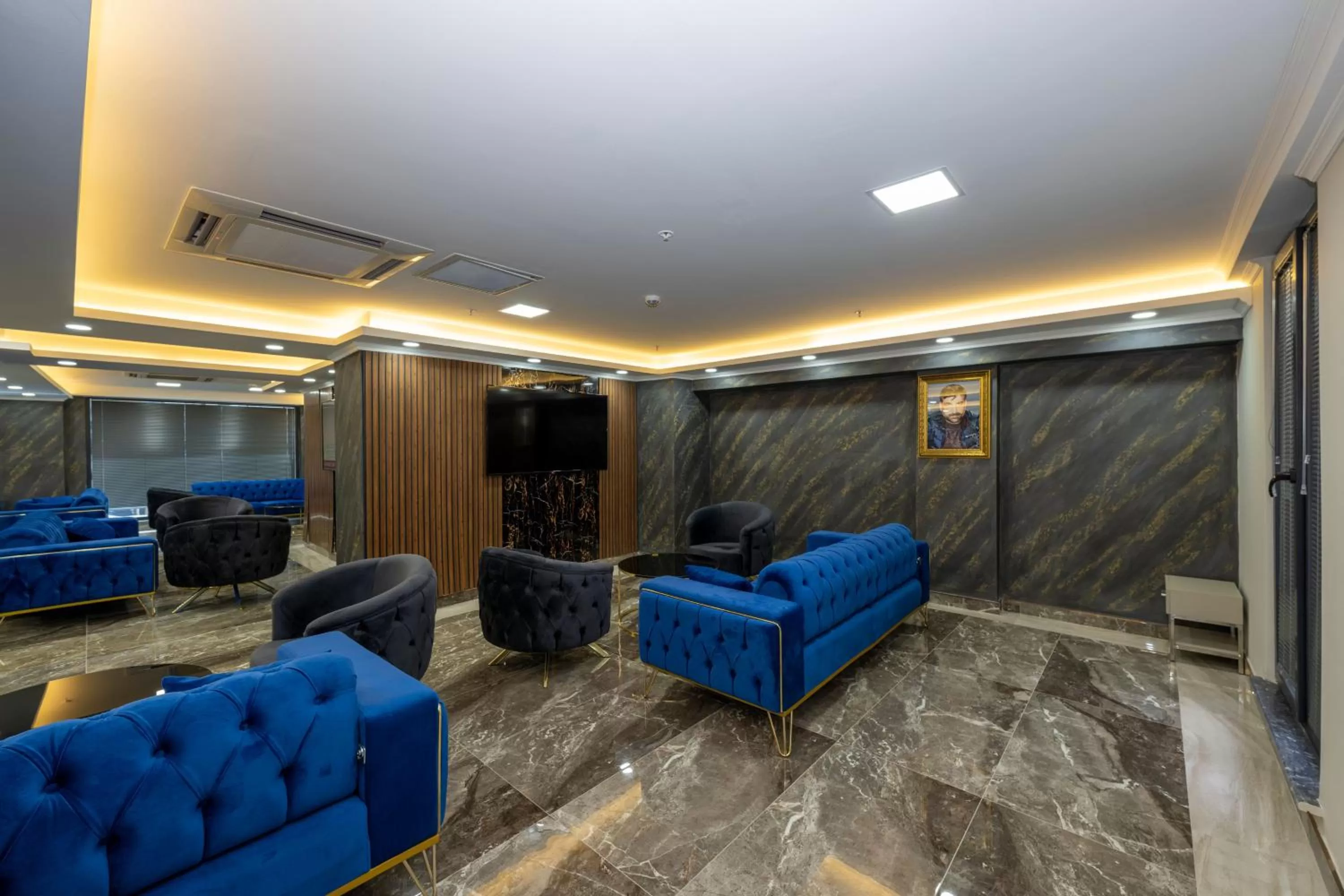 Communal lounge/ TV room in SKYSTAR DELUXE HOTEL