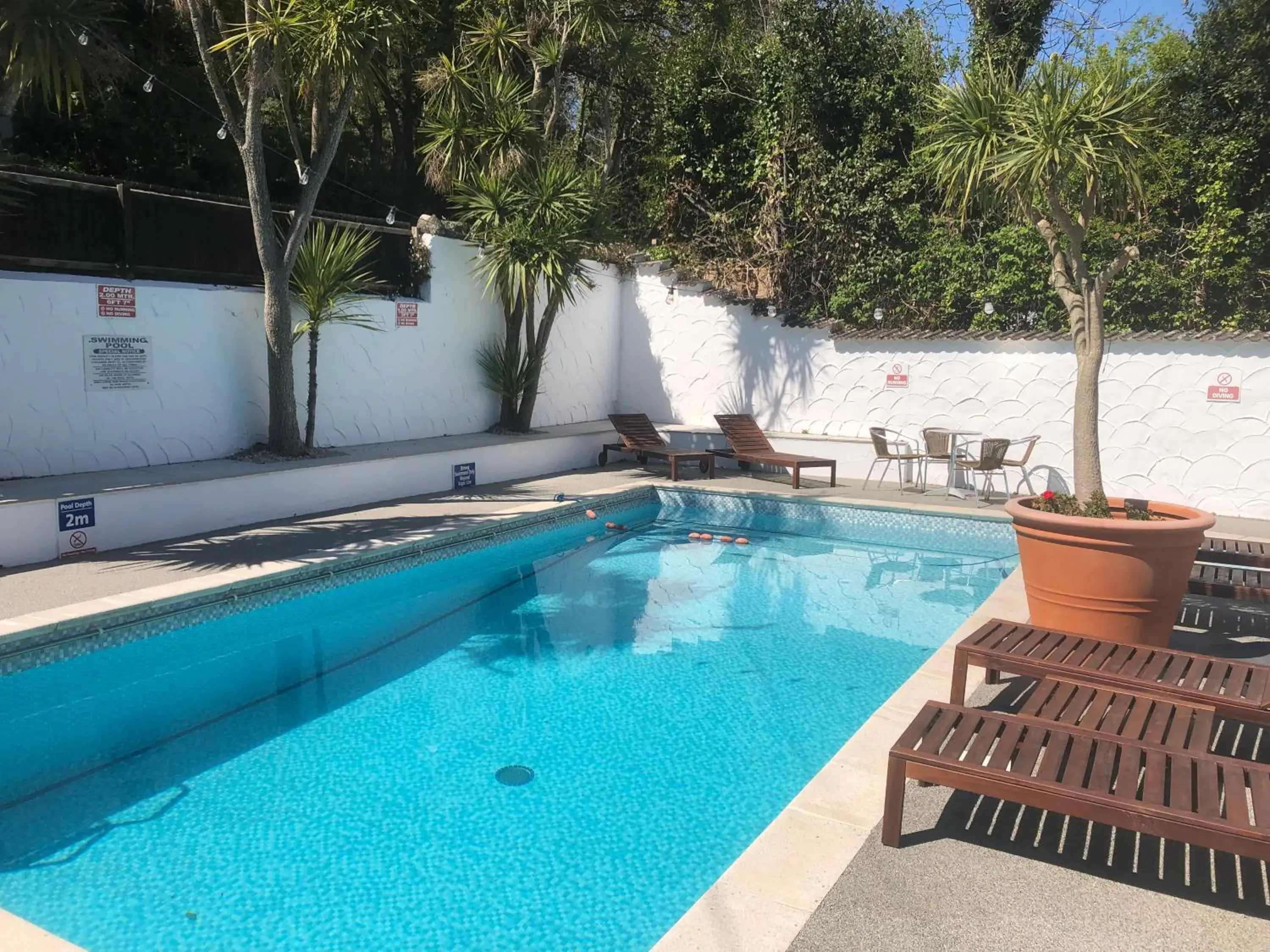 The Havelock The Havelock