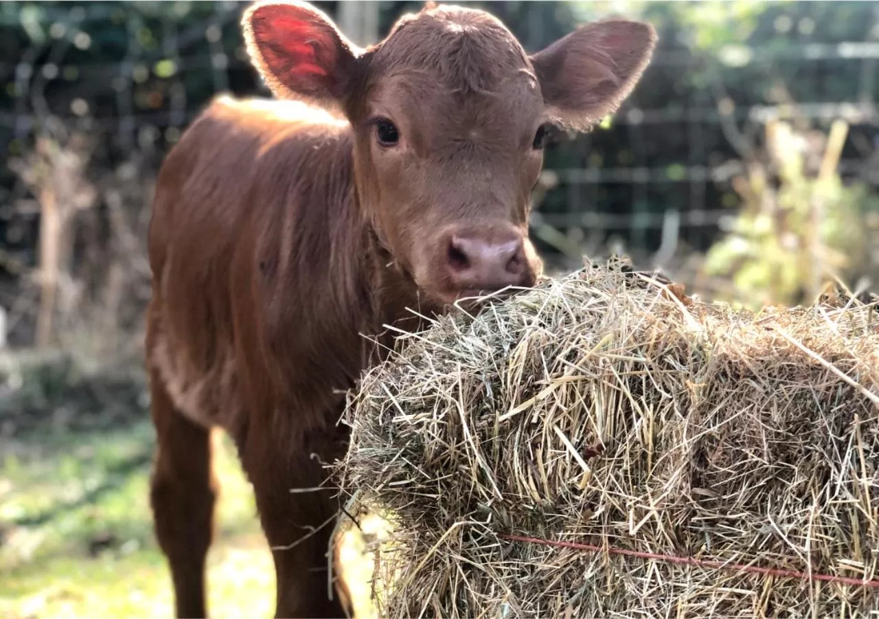 Quarrystone House B&B