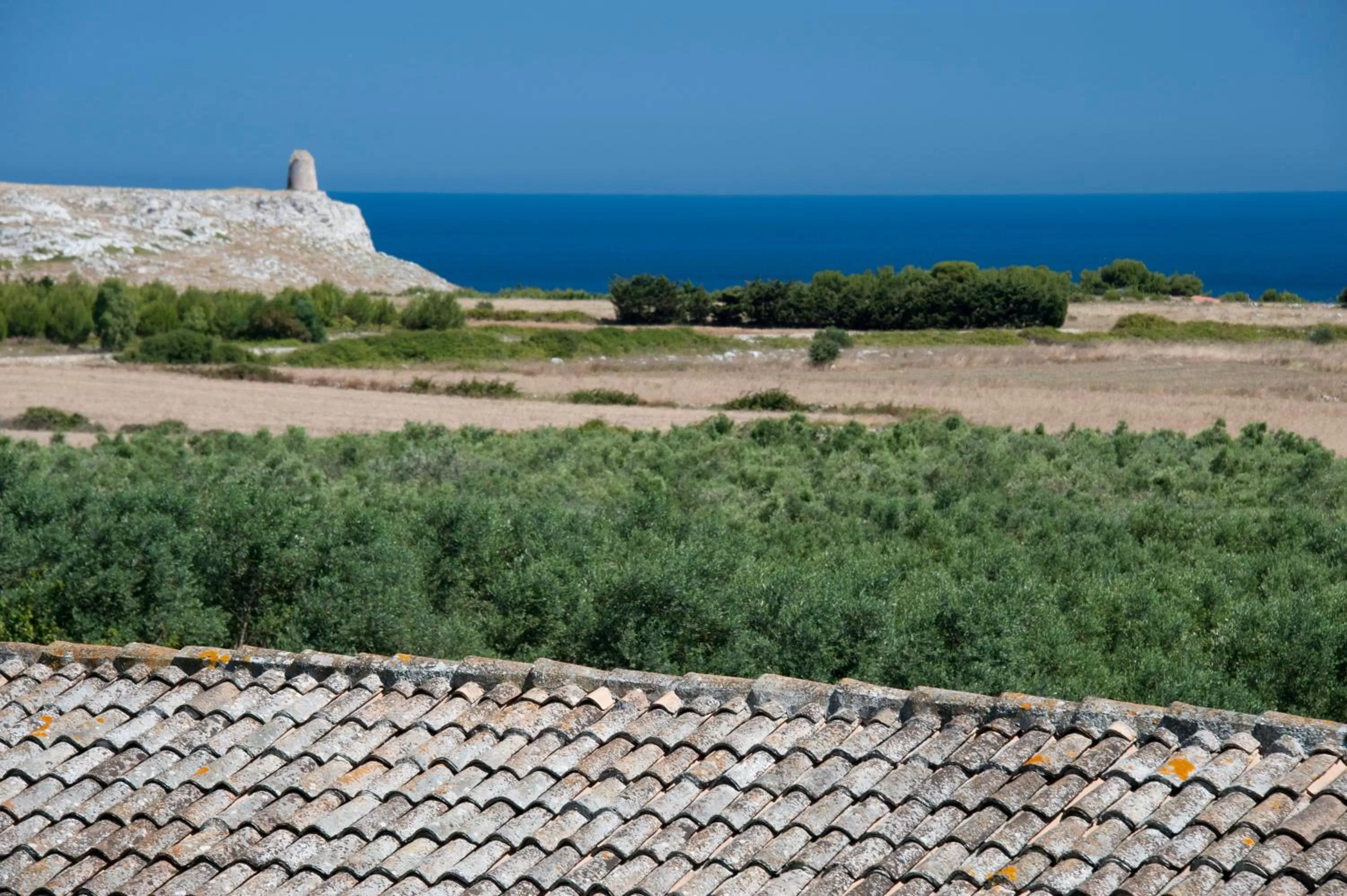 Sea view in Masseria Panareo
