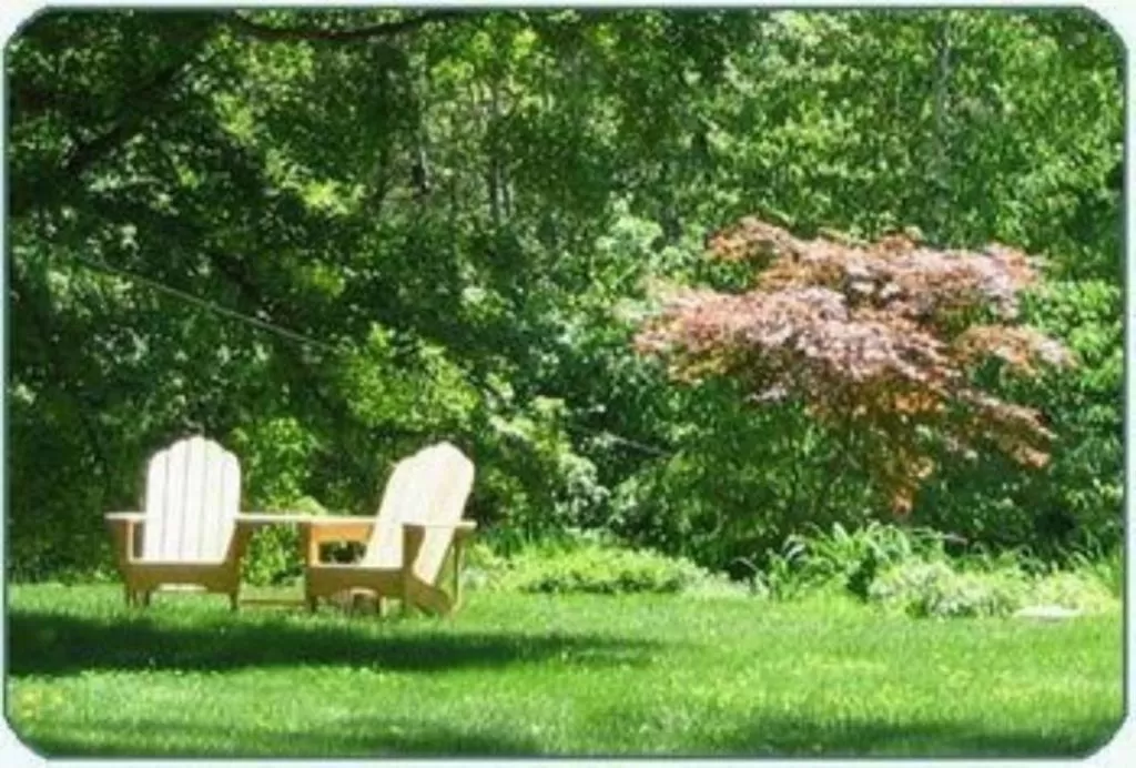 Other in Buttonwood Inn on Mount Surprise