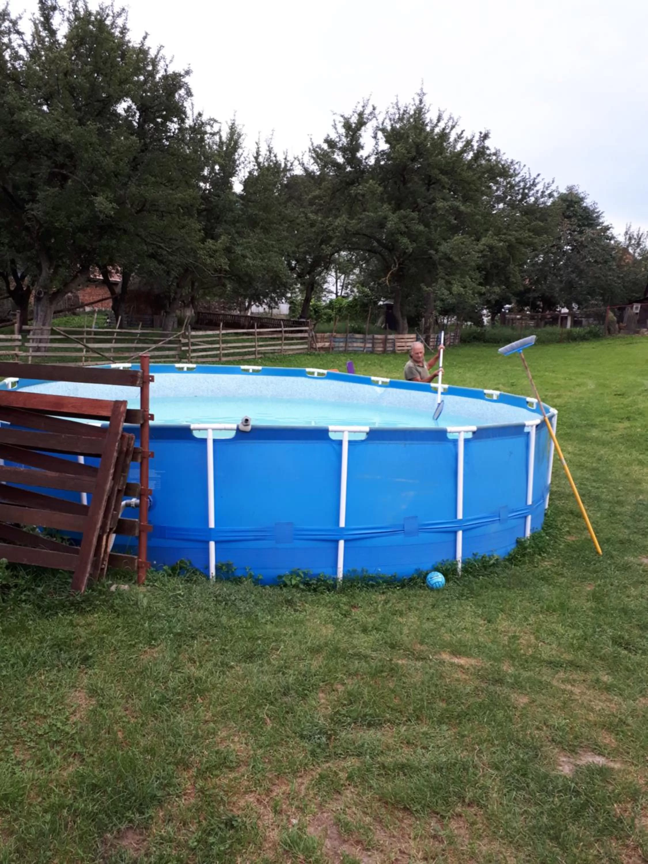 Swimming pool in Pensiunea Luminita