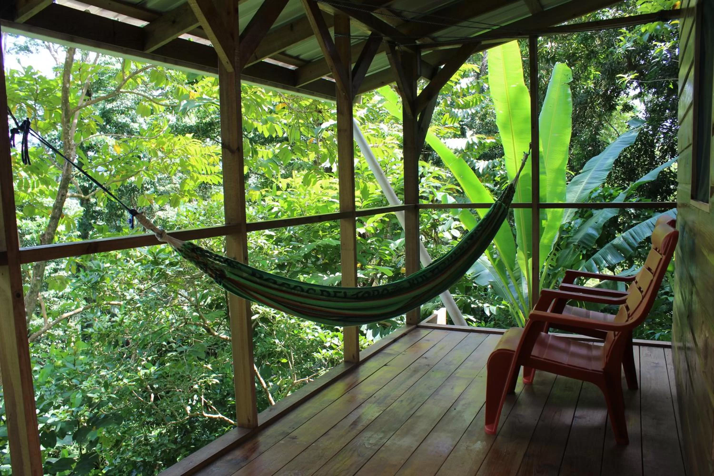 Balcony/Terrace in Carmen's place