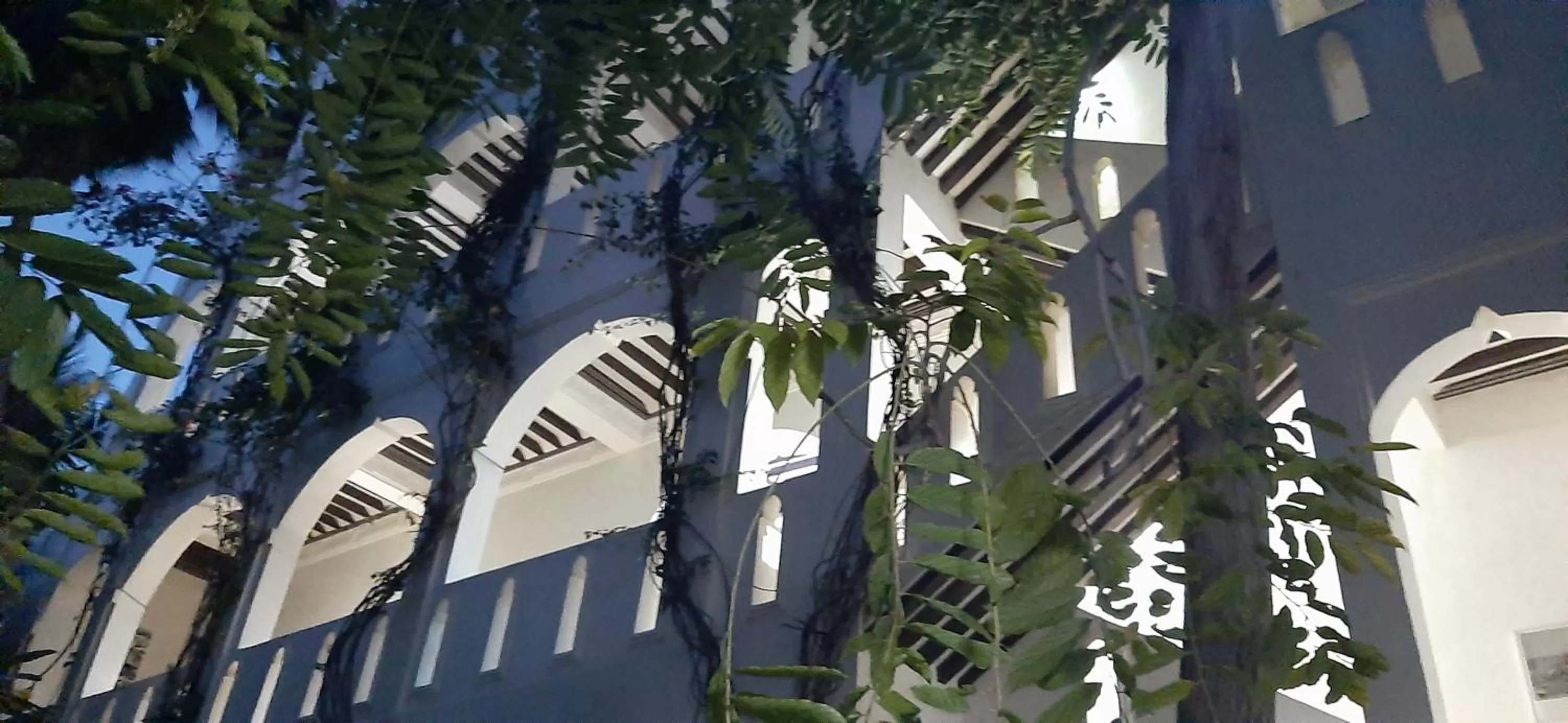 Property Building in Jamala Guesthouse