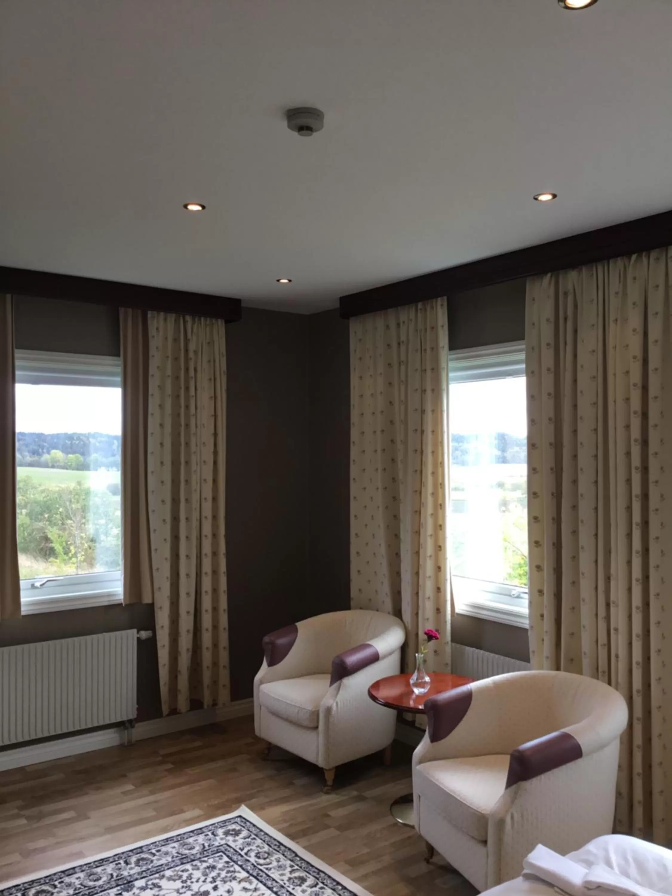 Living room in Dagsholm Hotell