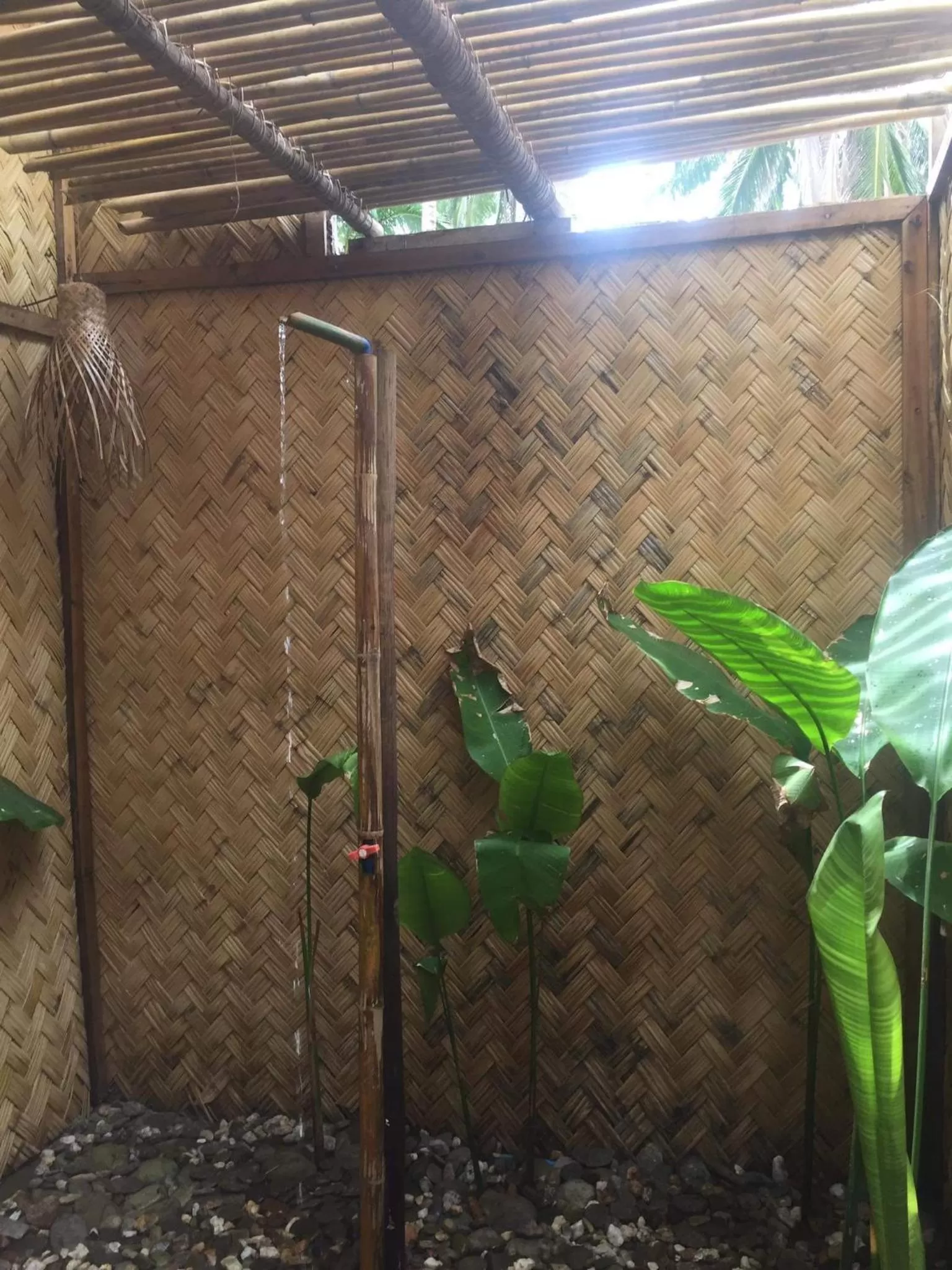 Other Animals in Prince John beachfront cottages and Restaurant