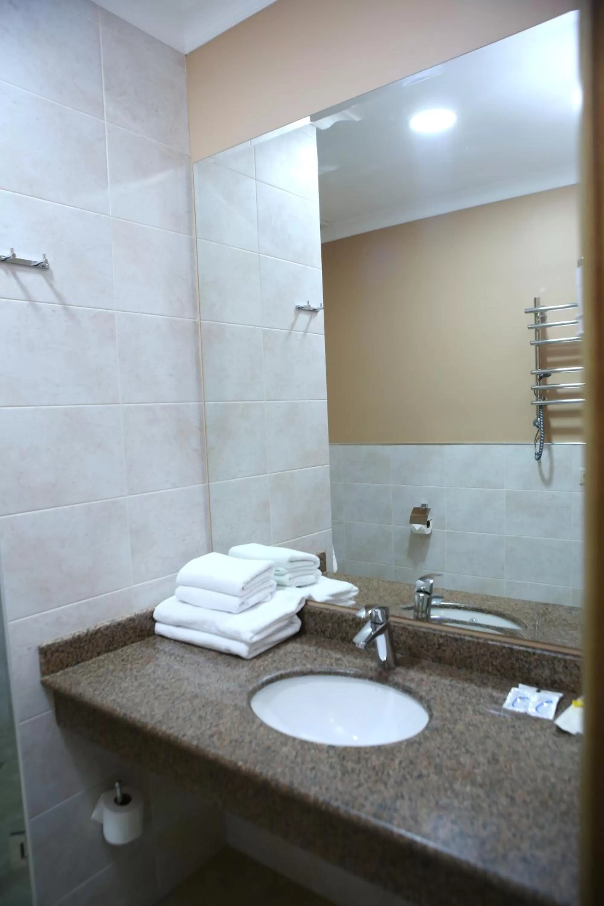 Bathroom in Hotel Aner