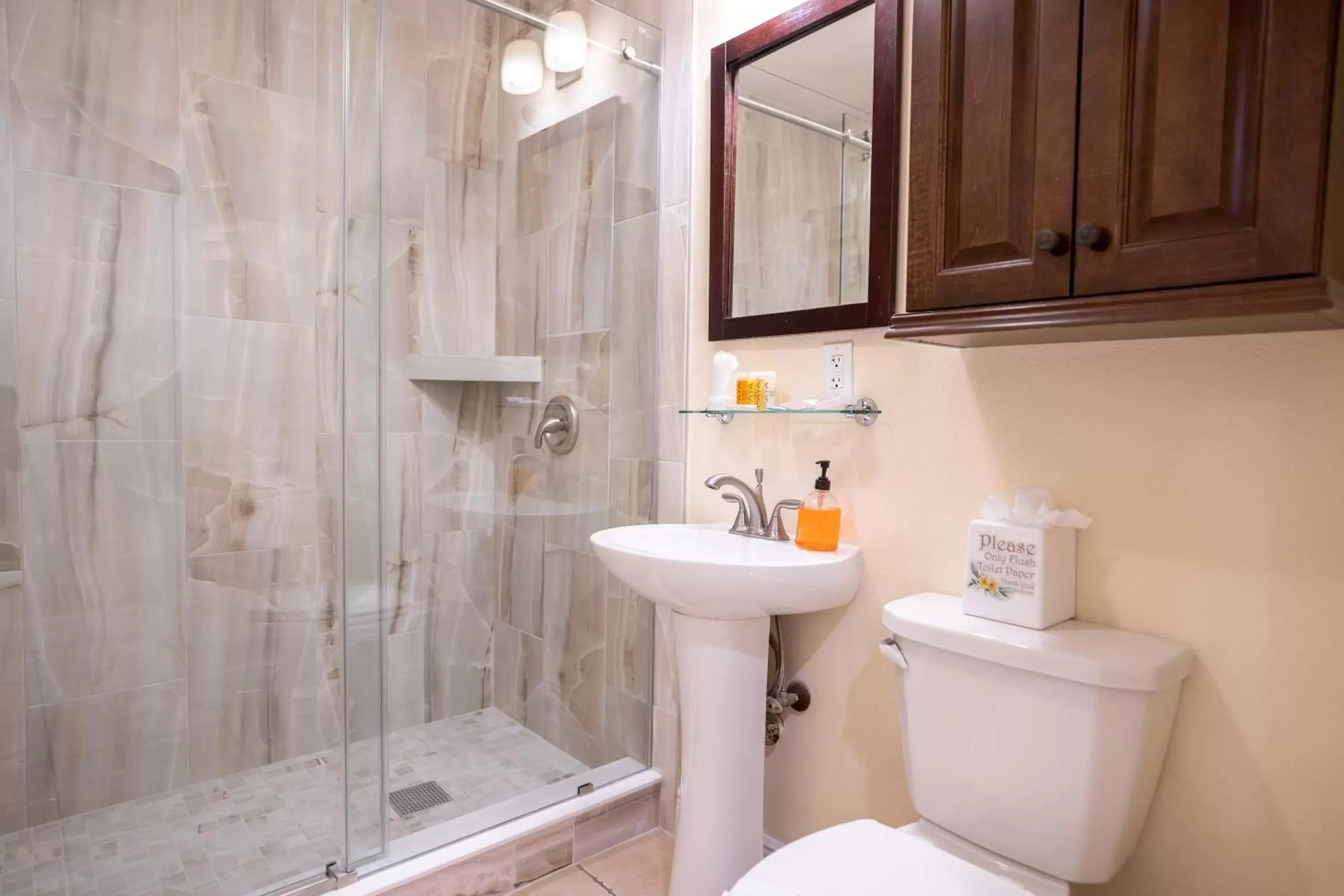 Queen Studio Unit 101 in The Capri at Siesta Queen Studio Unit 101 in The Capri at Siesta