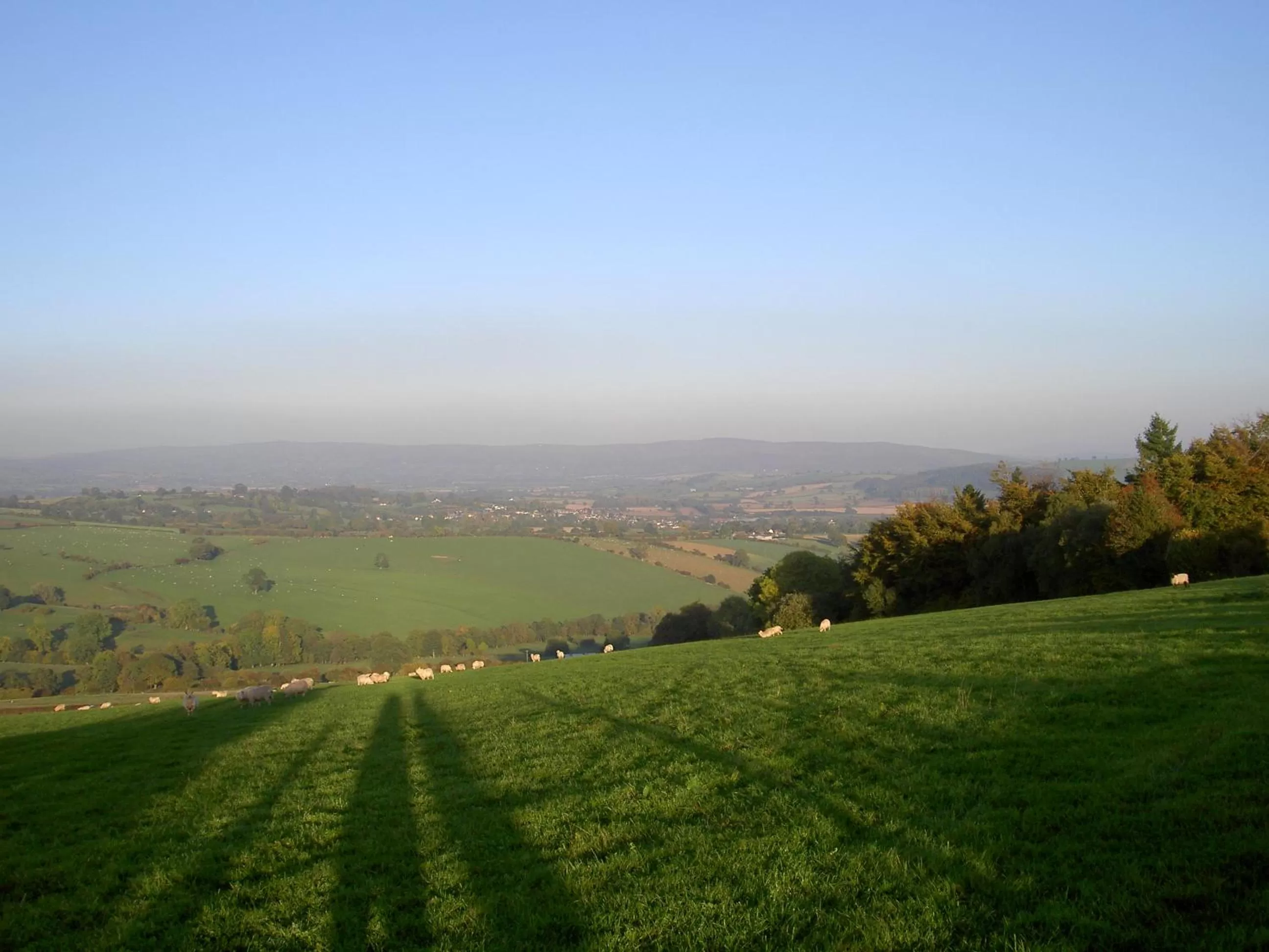 Property building in Middle Woodbatch B&B