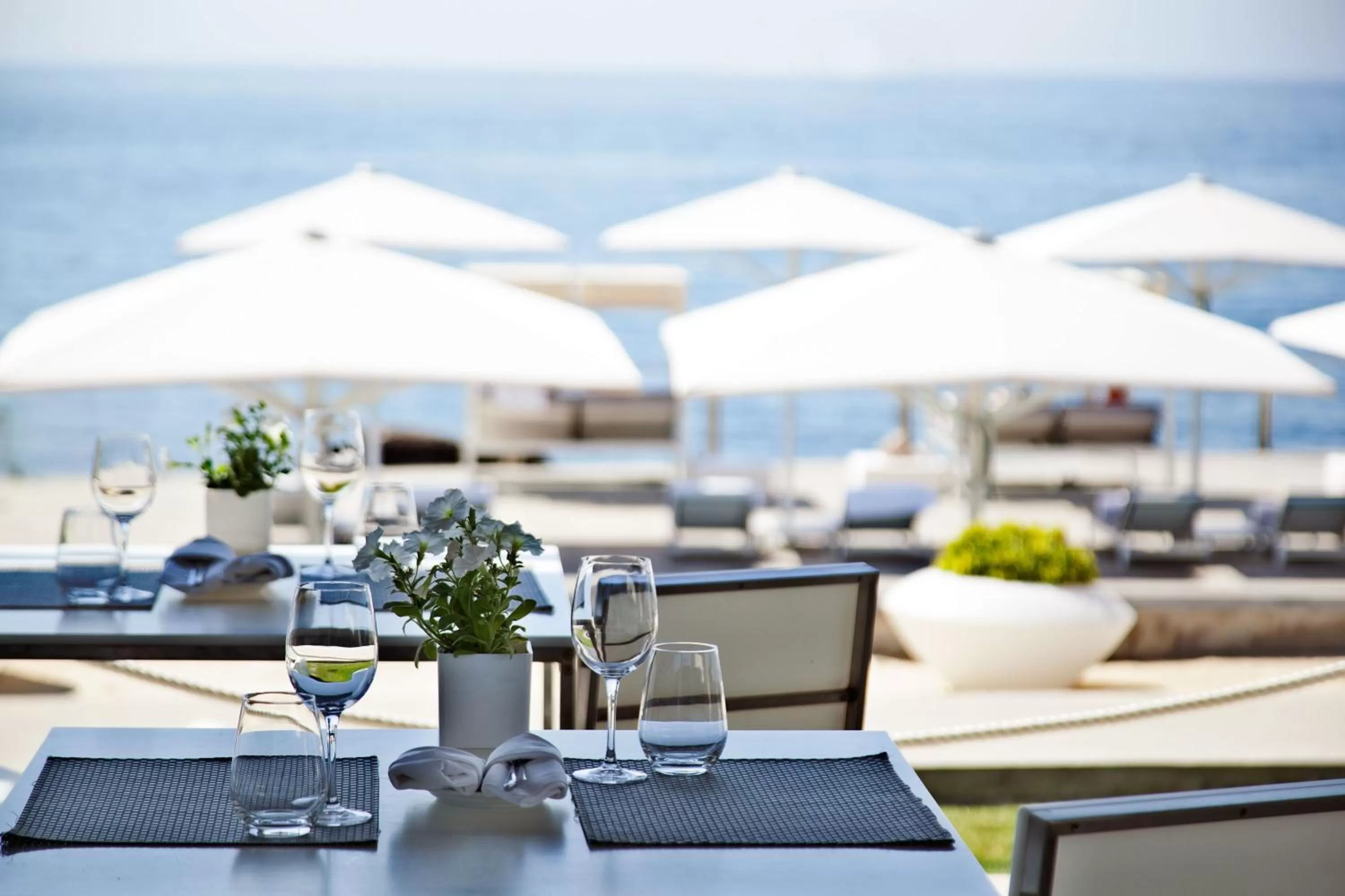 Lounge or bar in Farol Hotel