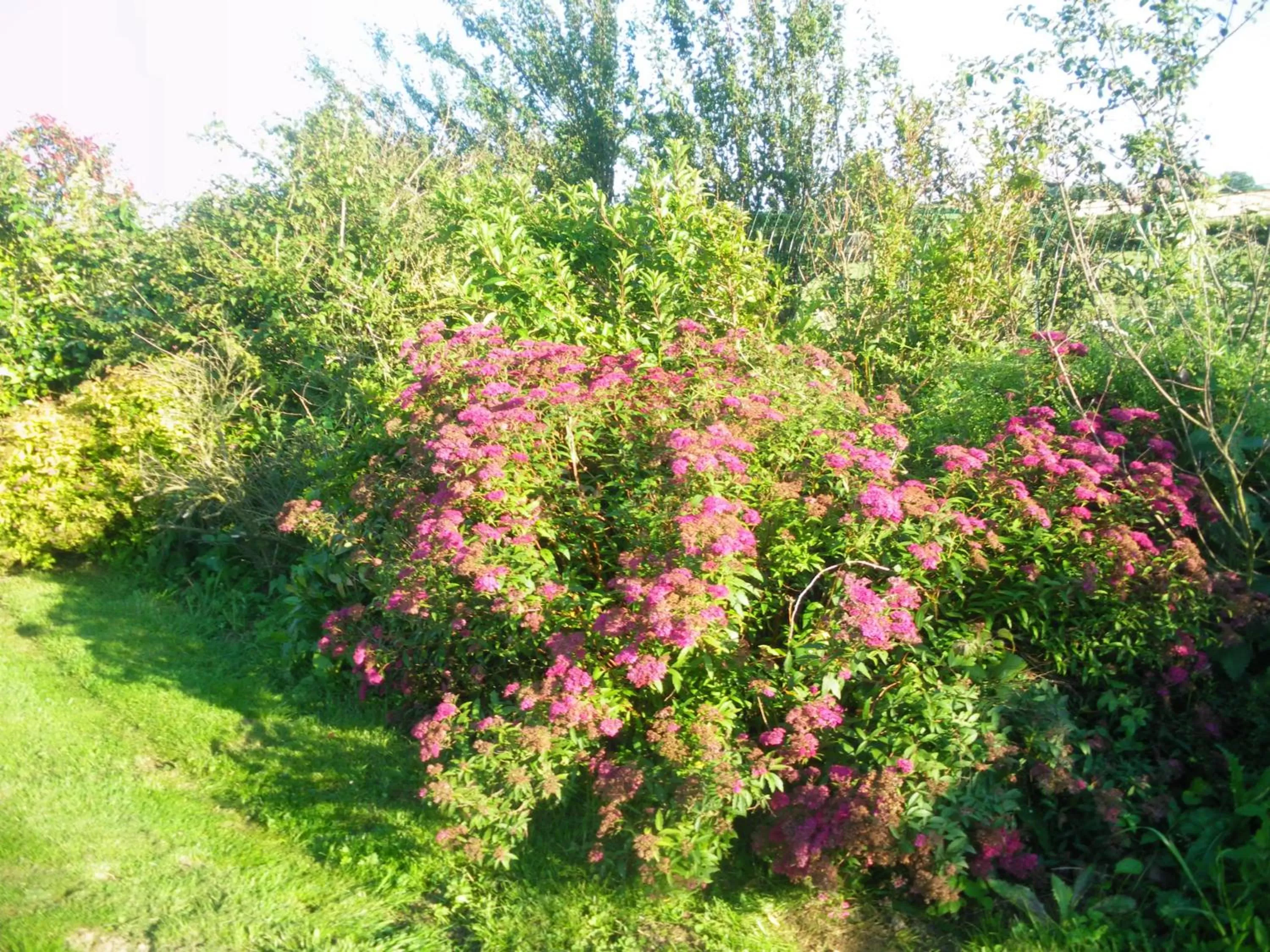 Garden in La Vallée des Trois Monts