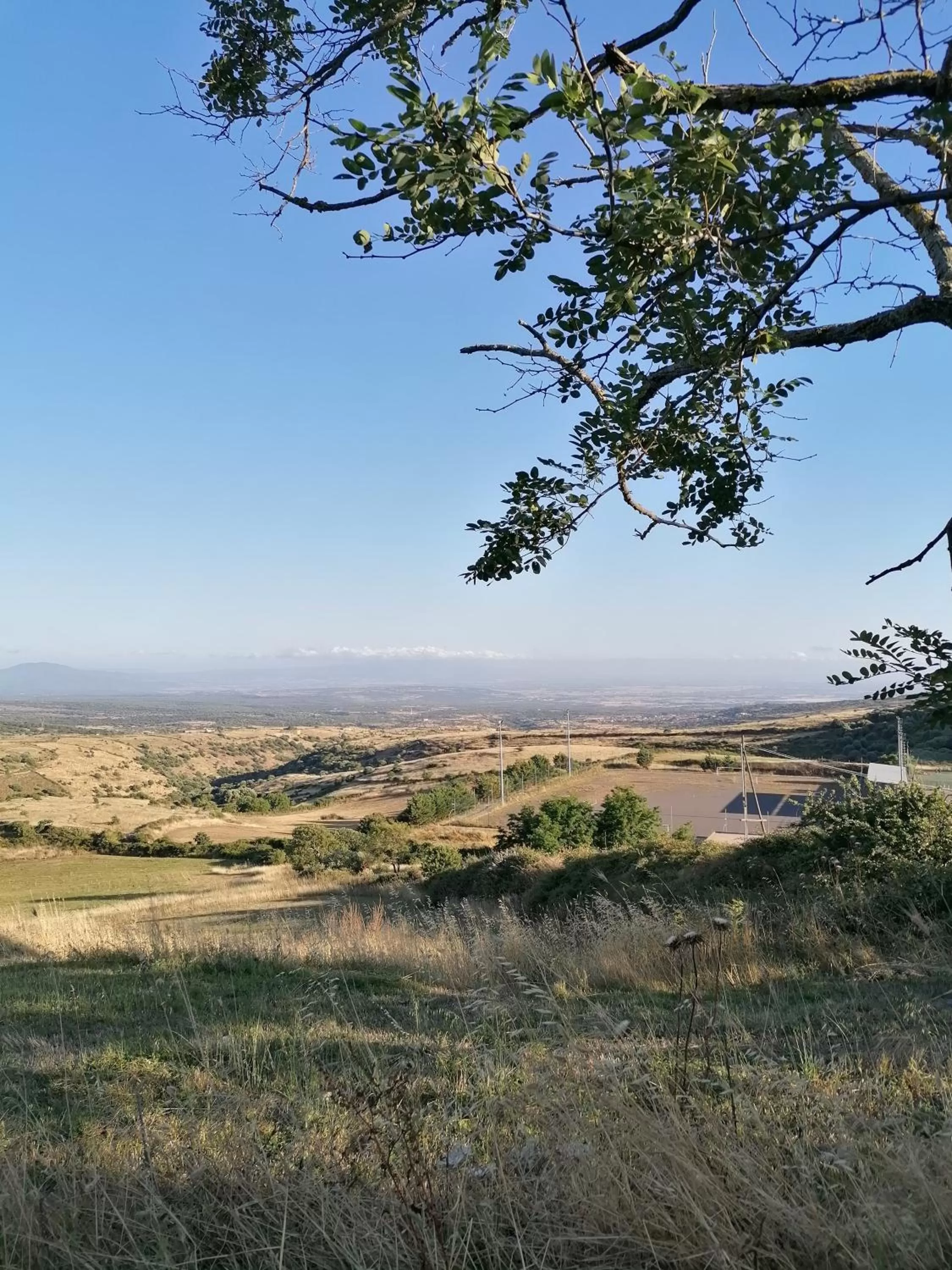 Deiana affittacamere e pizzeria