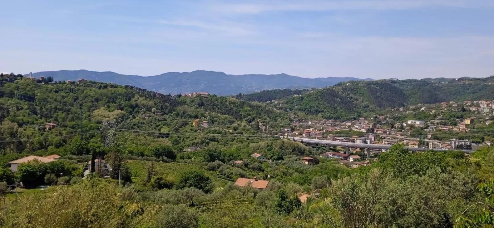 Bird's-eye View in In Vino Veritas