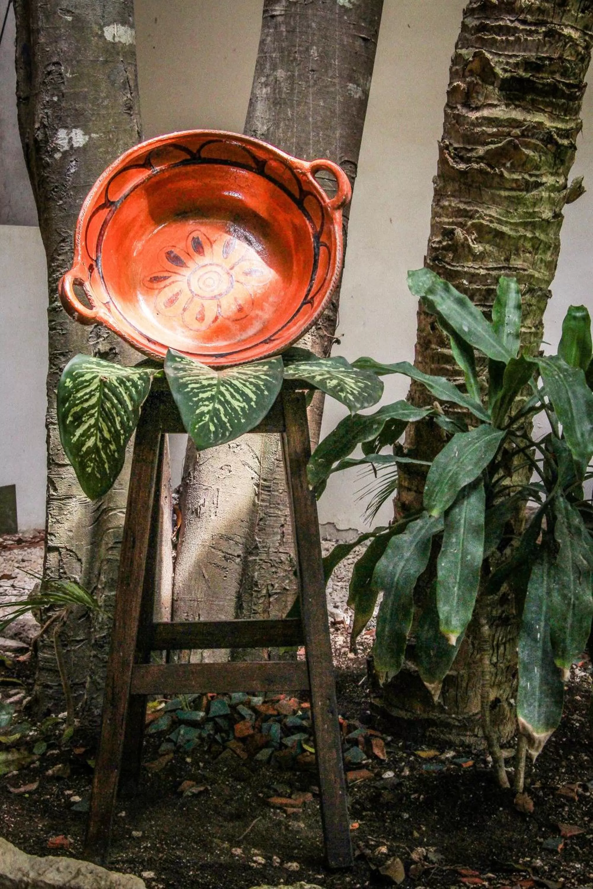 Garden in Corazon De Jade Tulum