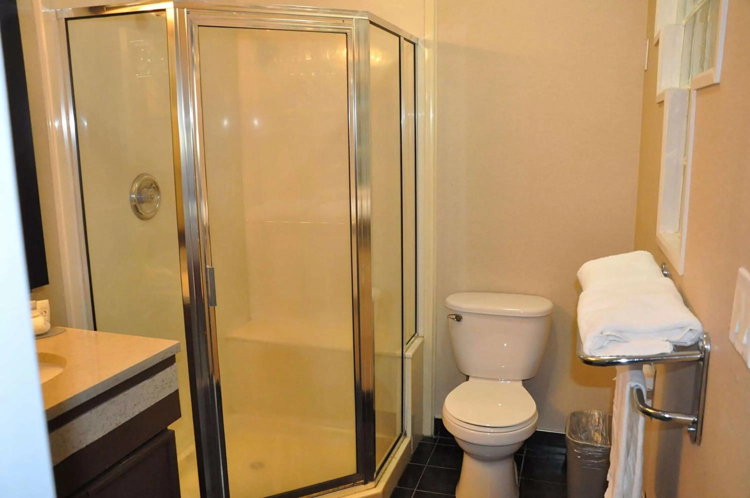 Bathroom in Ramada by Wyndham Abbotsford