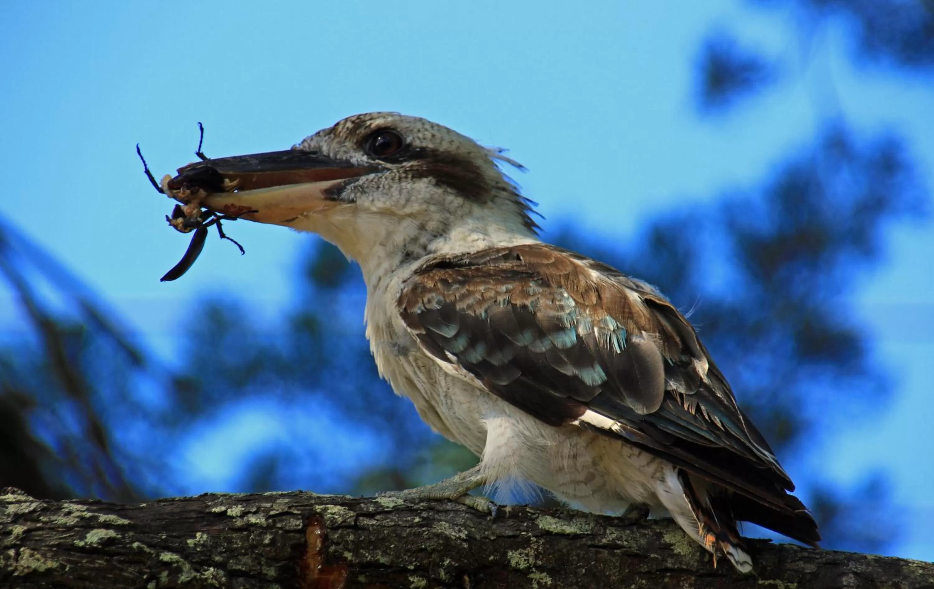 Property building in Torquay Terrace Bed & Breakfast