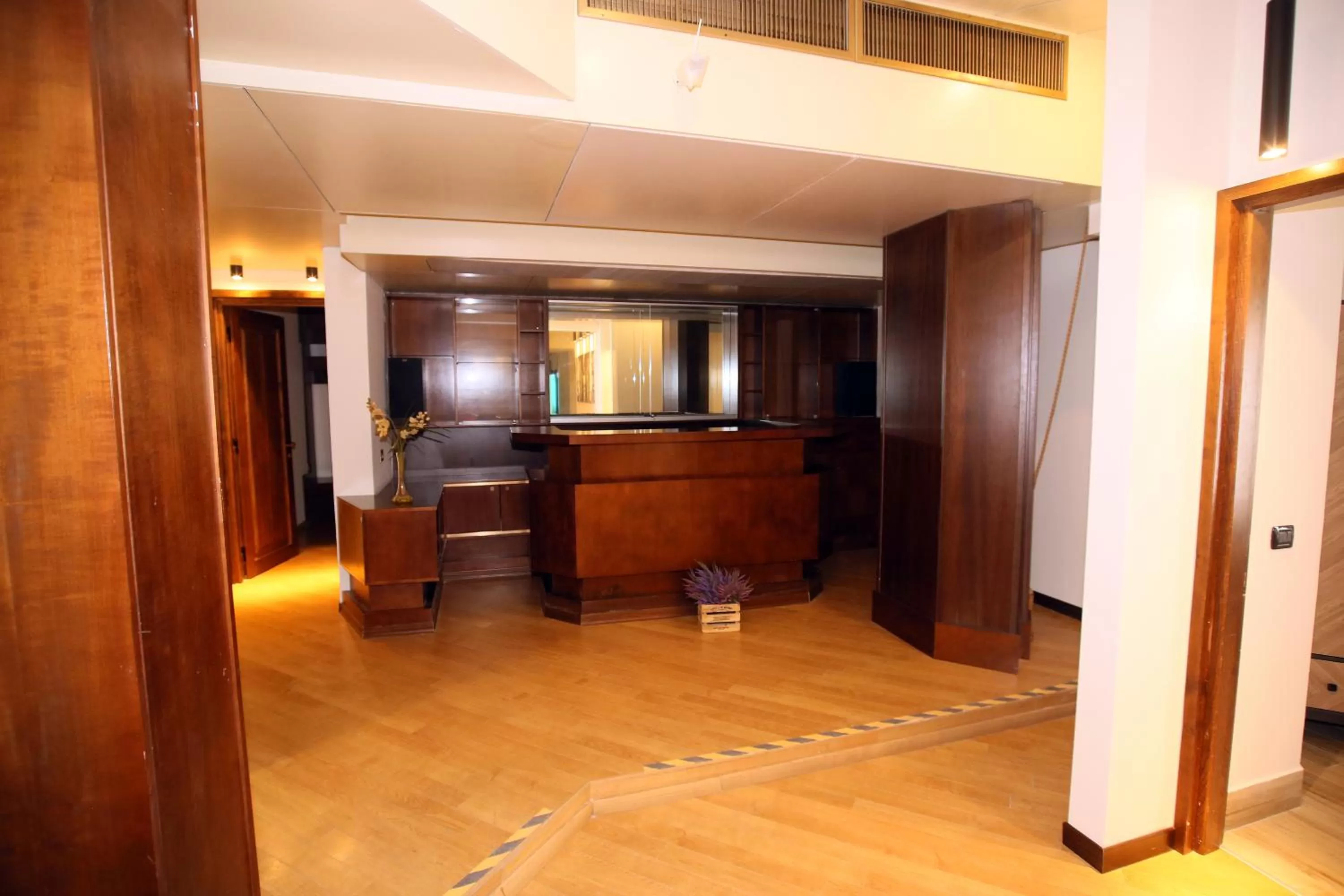 Lounge or bar, Lobby/Reception in paradise suite