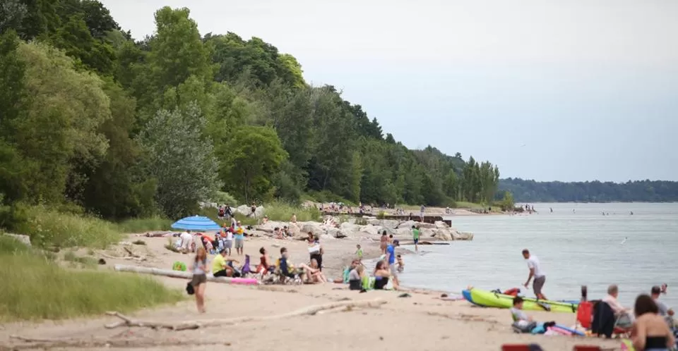 Natural landscape in THE ASHWOOD INN