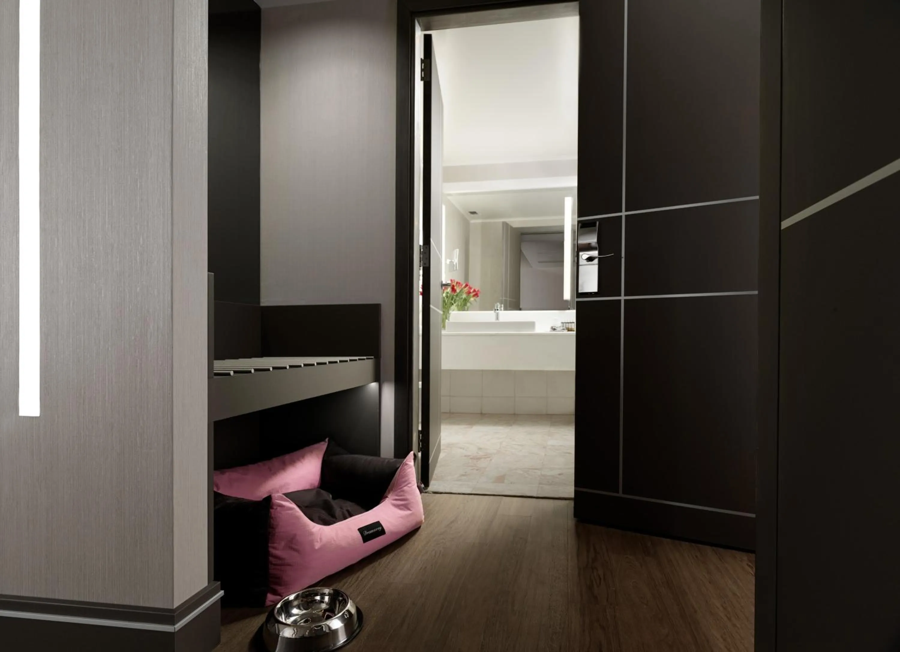 Pets in Holiday Suites