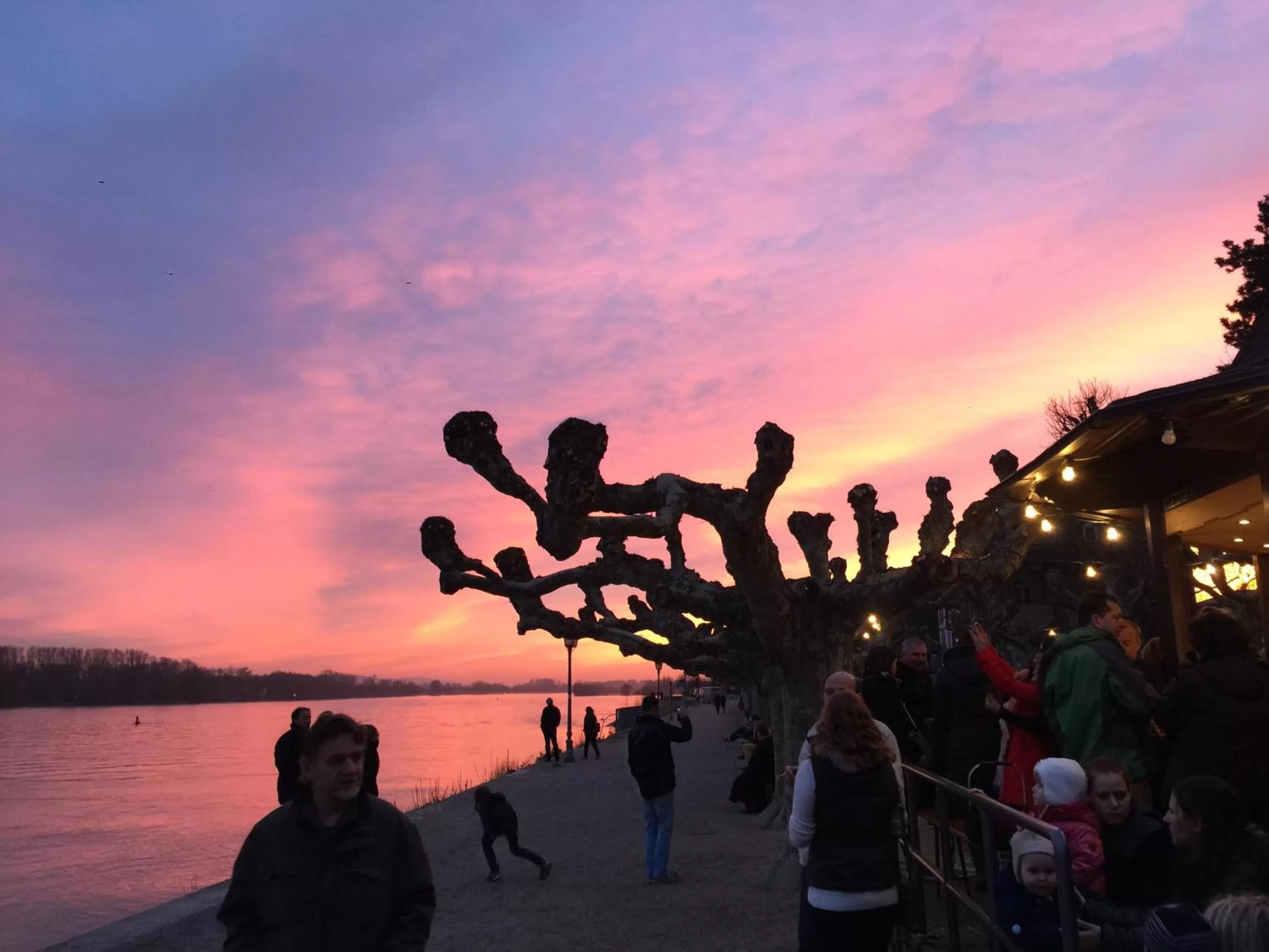 Natural landscape in Wein Hotel Koegler