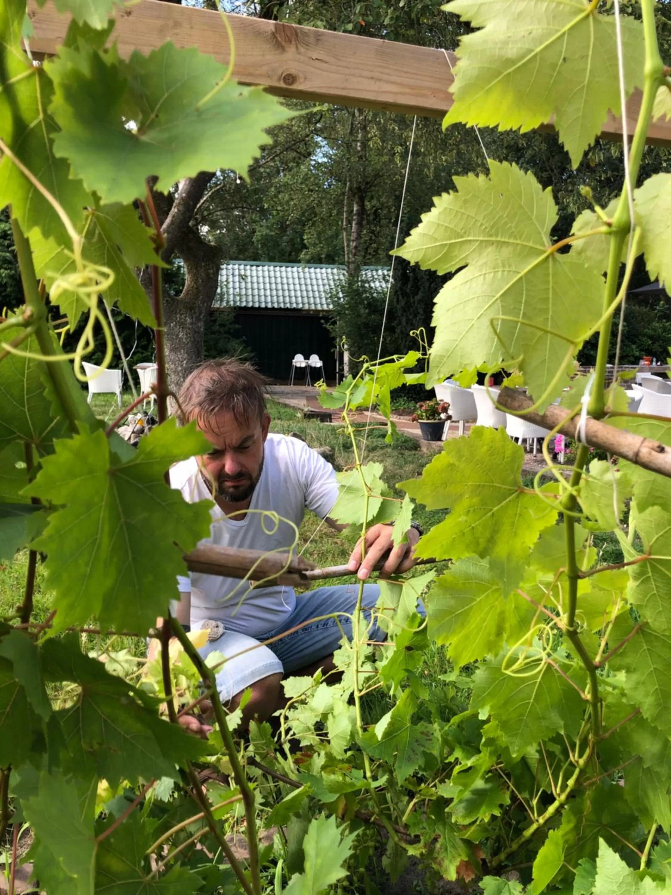 Villa BlauwHemel Diever