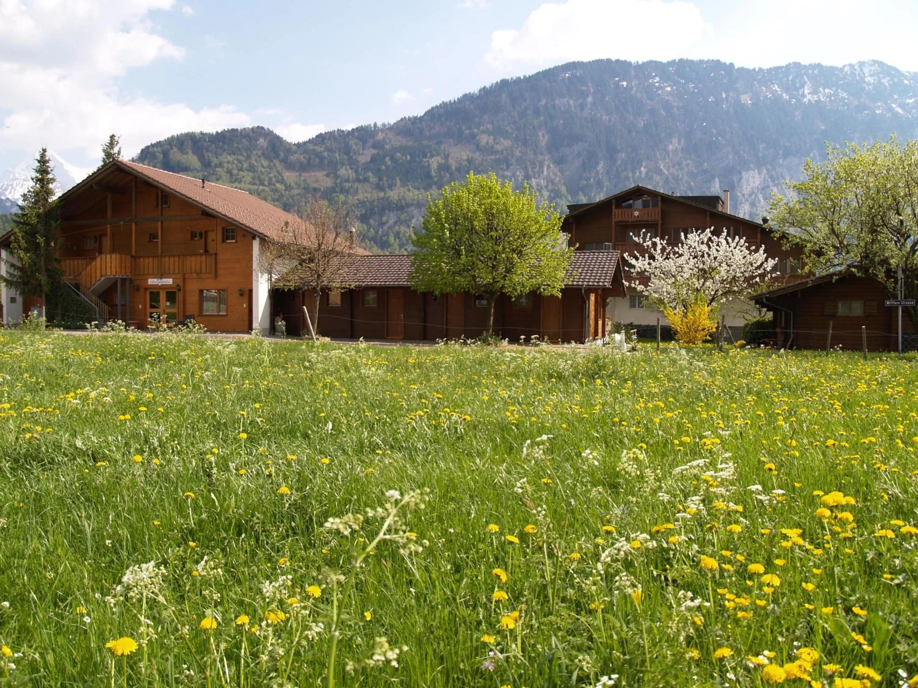 Garden in Salzano Basic Rooms Interlaken