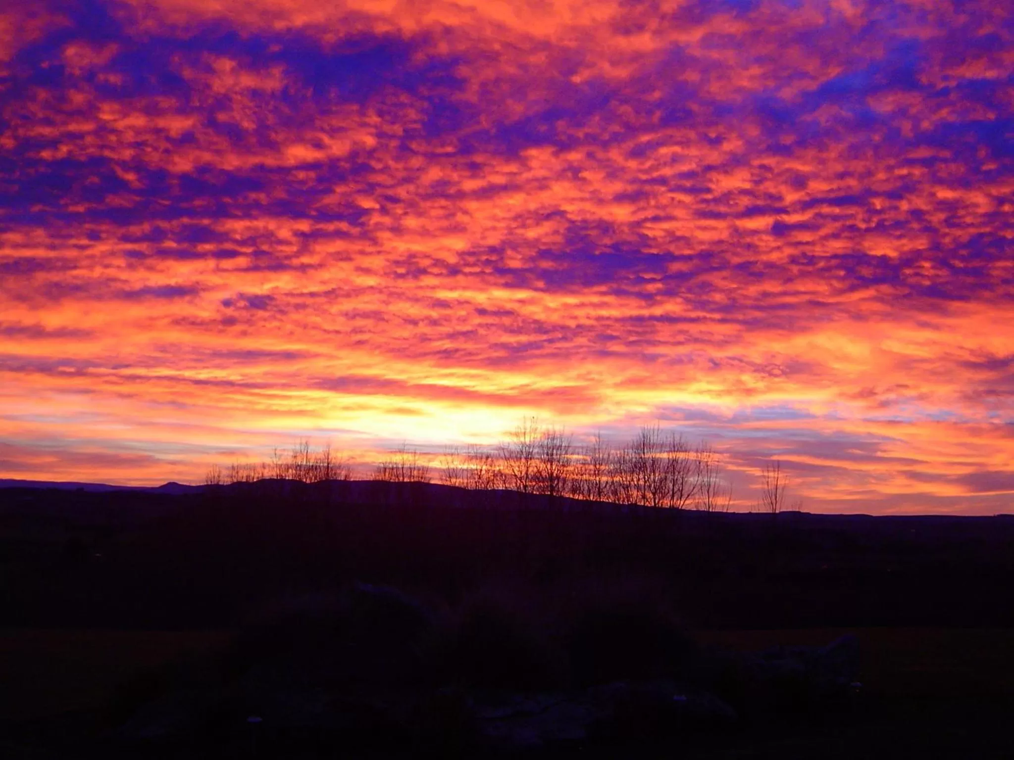View (from property/room) in Hokonui Bed & Breakfast