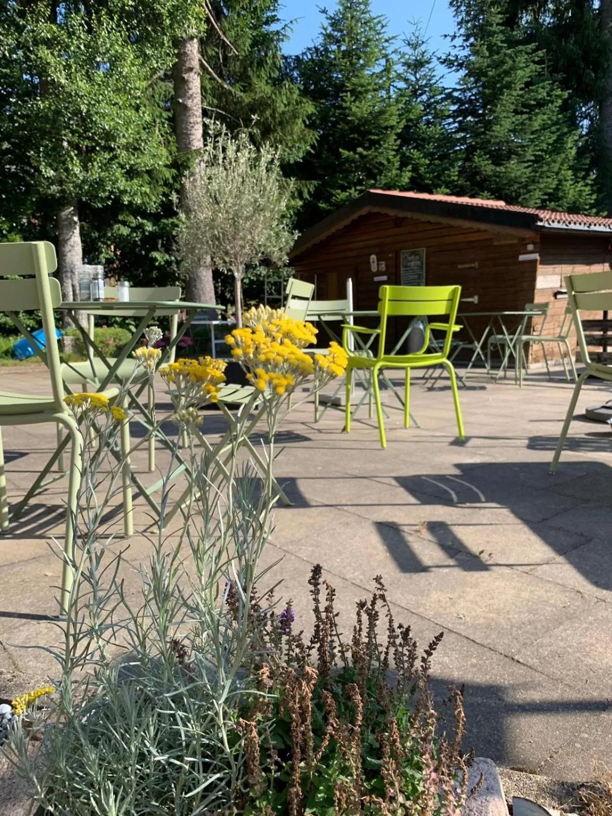 Balcony/Terrace in Sporthostel Rössle