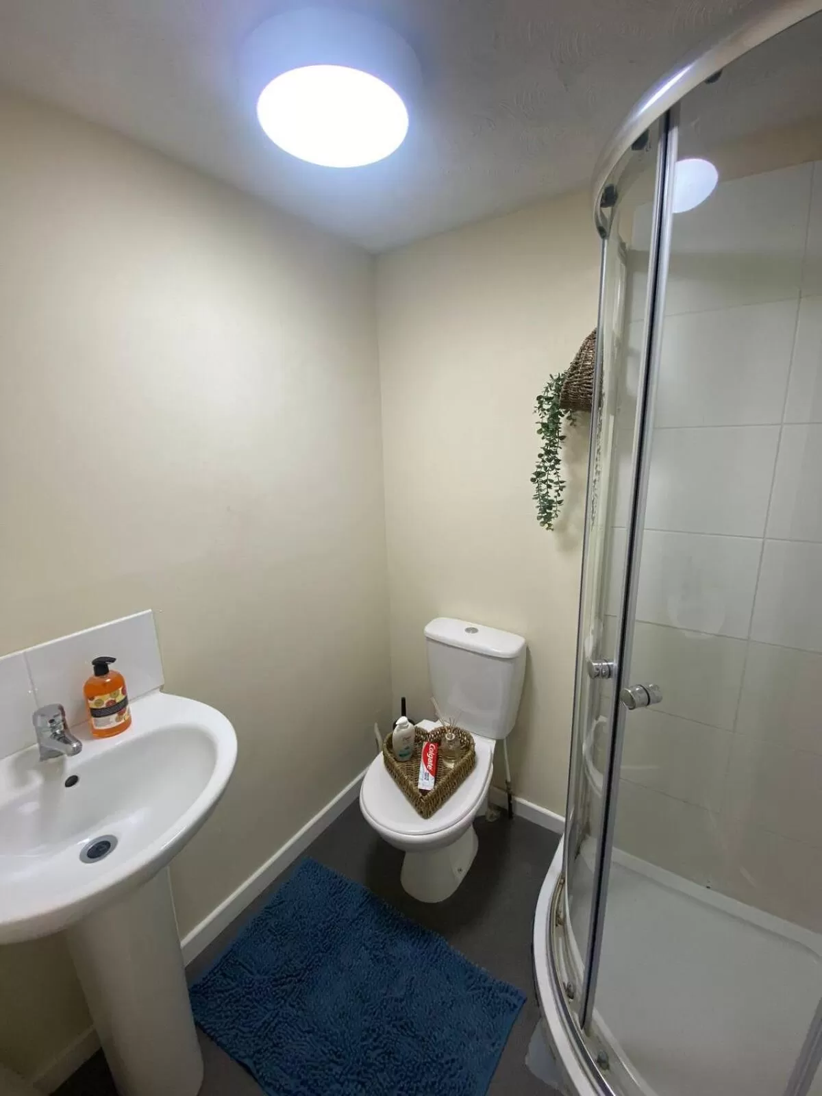 Bathroom in 44a Bathurst Walk