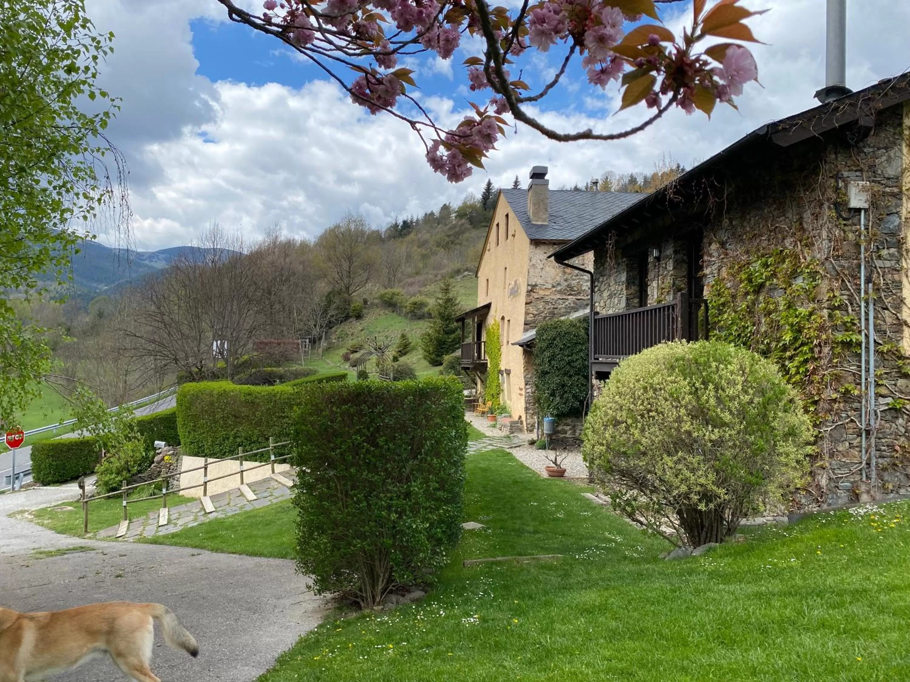 View (from property/room) in Hotel Cruells