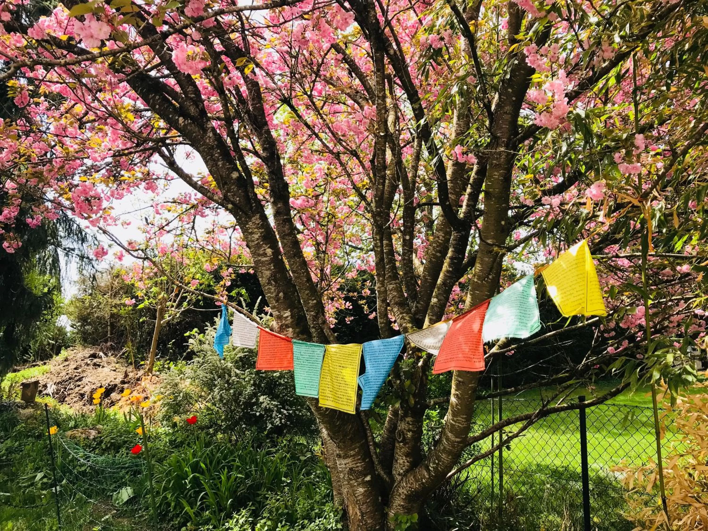 Garden in Bed and Breakfast Bavaria München
