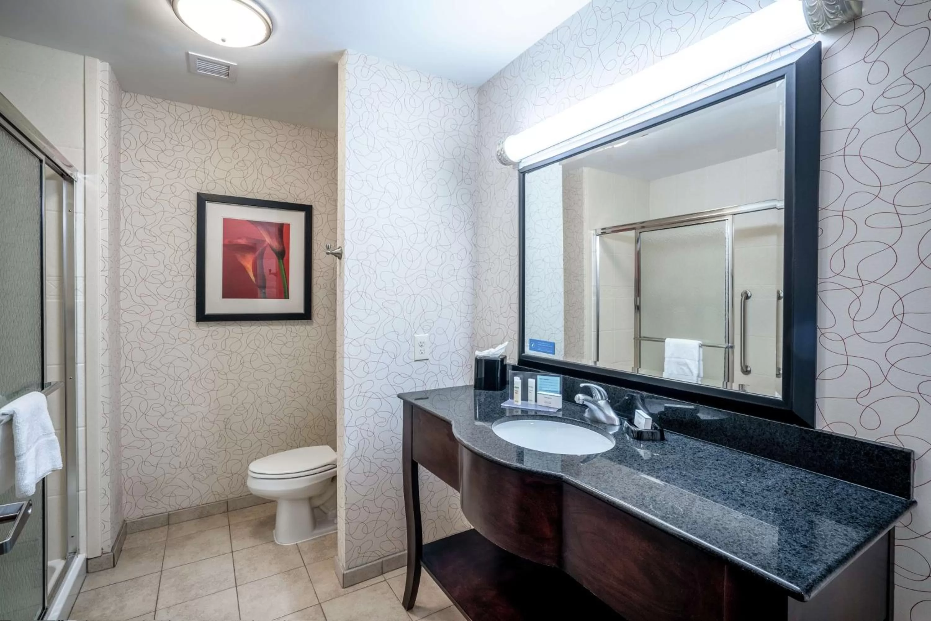 Bathroom in Hampton Inn Richmond - Airport
