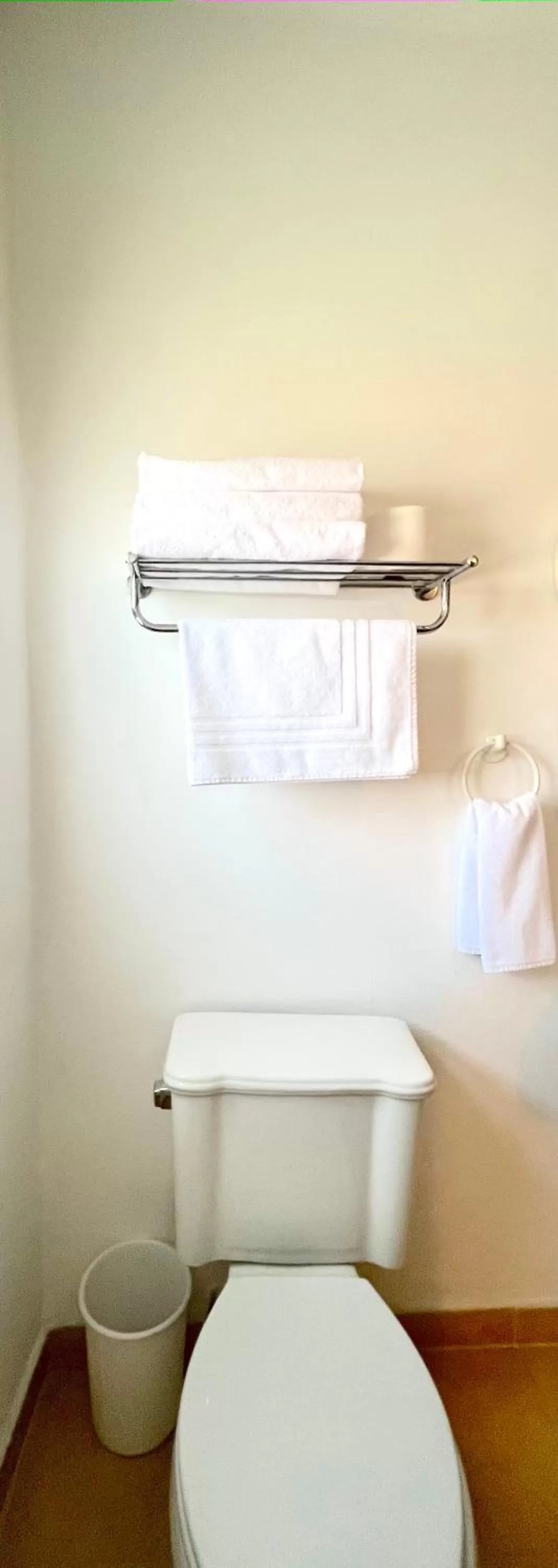 Toilet, Bed in Biohotel Boutique Metepec