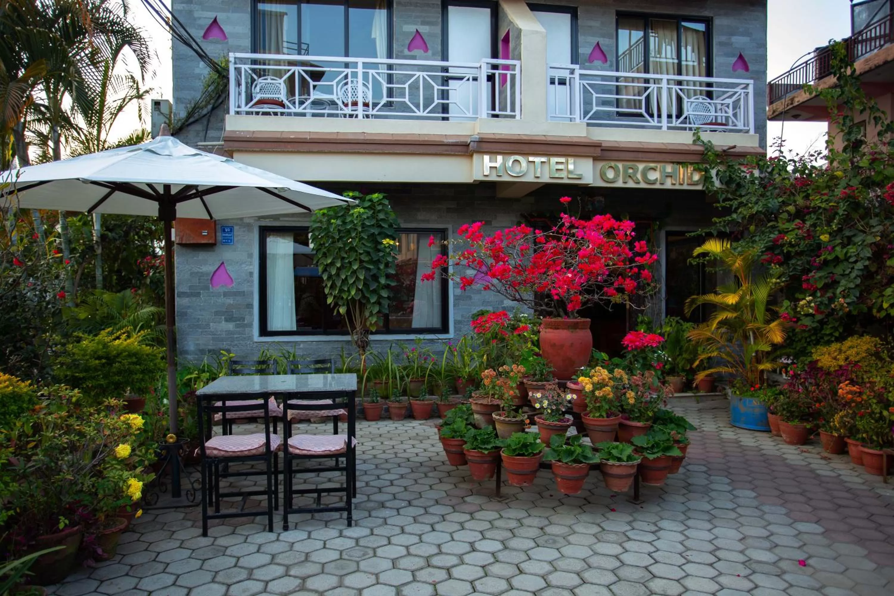 Patio in Hotel Orchid