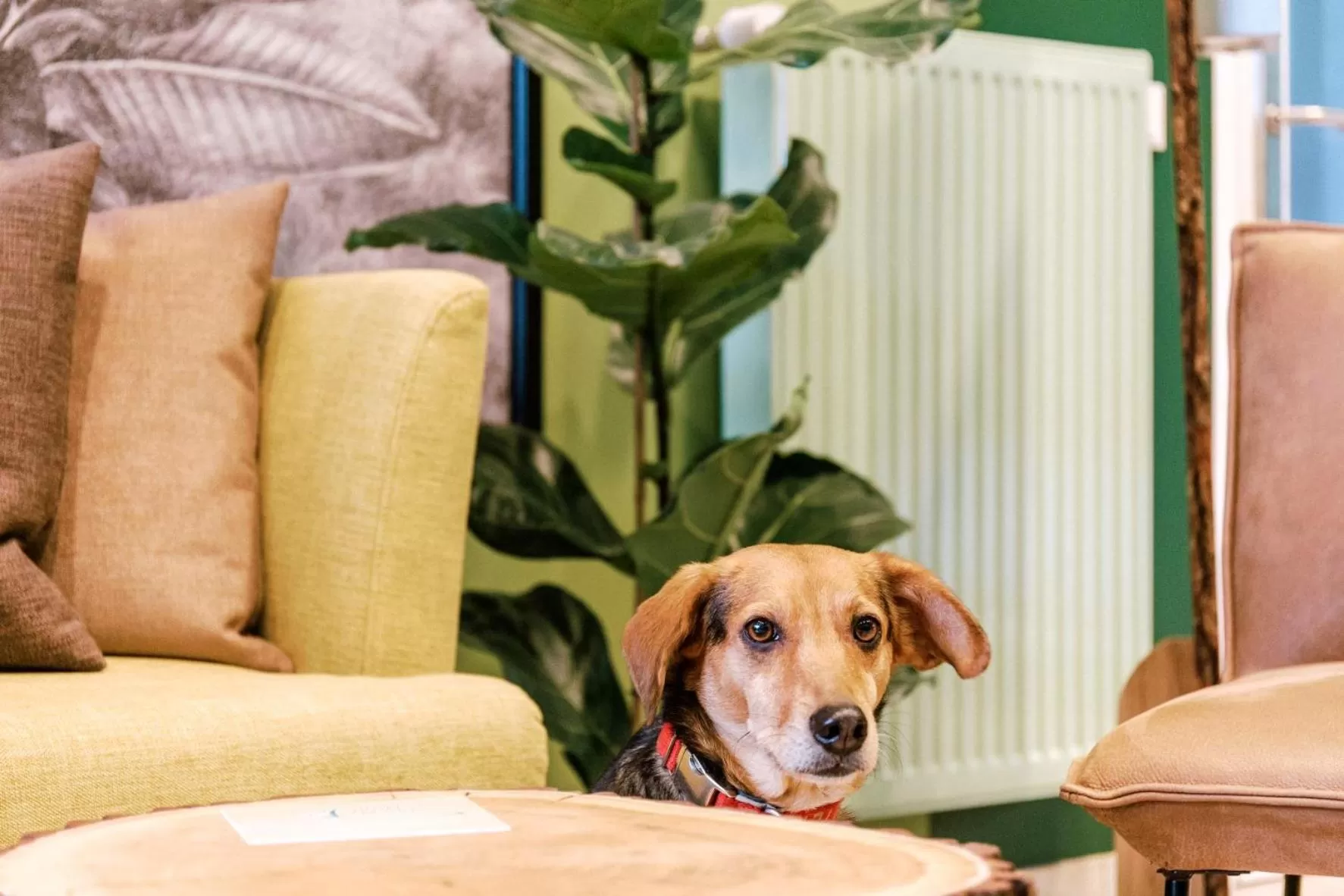 Lobby or reception in Hotel am Zoo