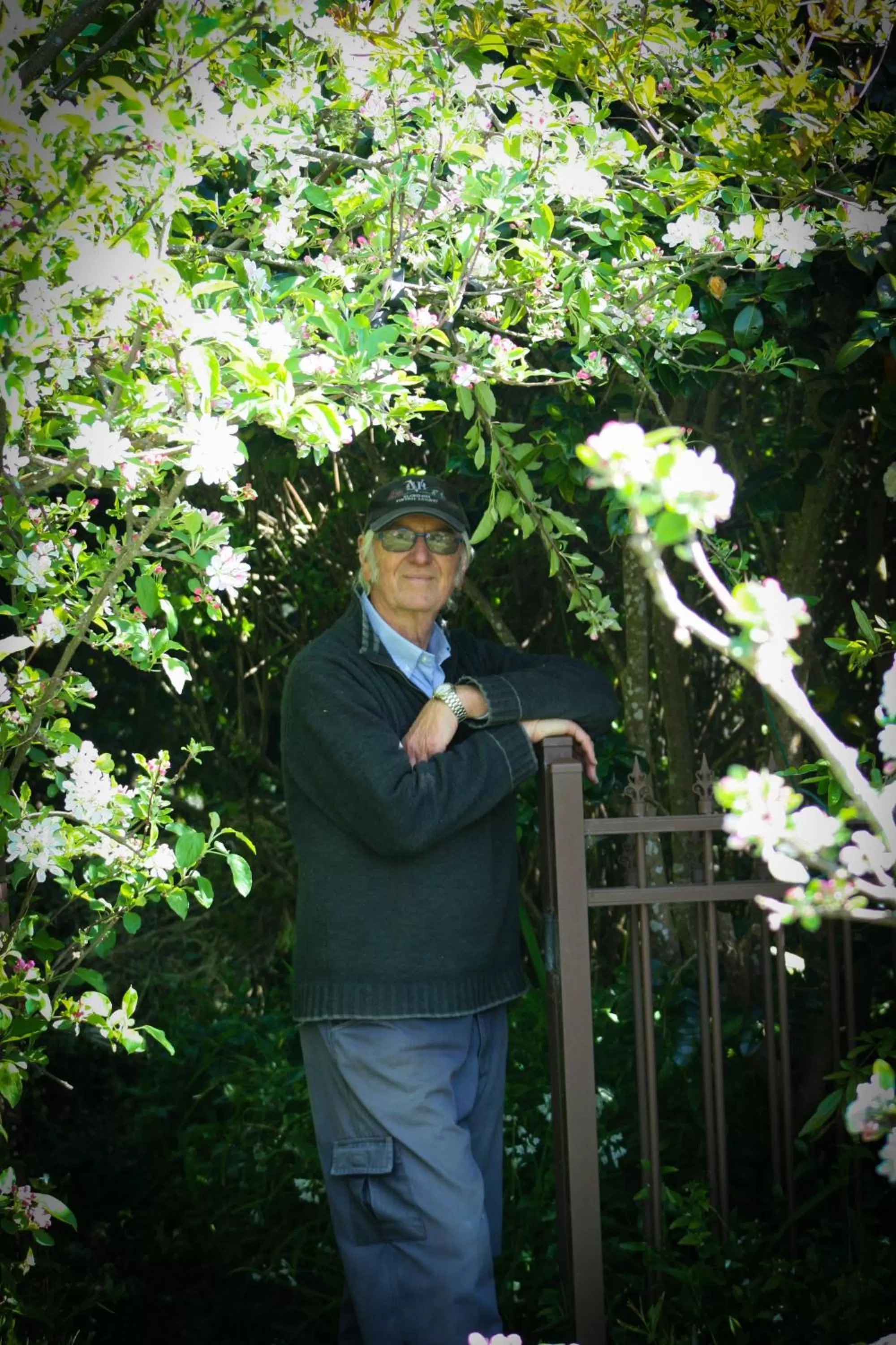 Garden in Paeroa bed and breakfast