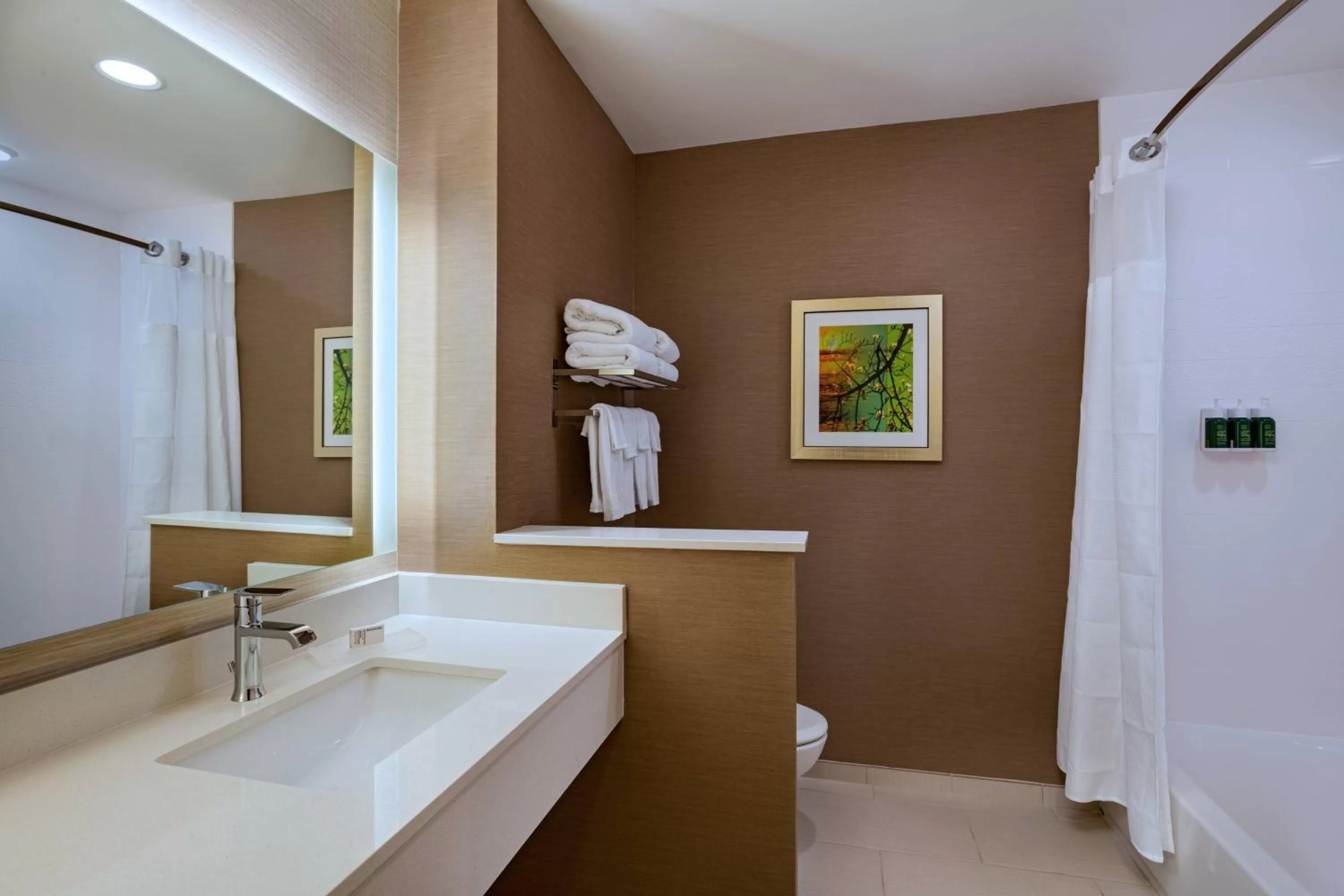 Bathroom in Fairfield Inn & Suites Houston Richmond