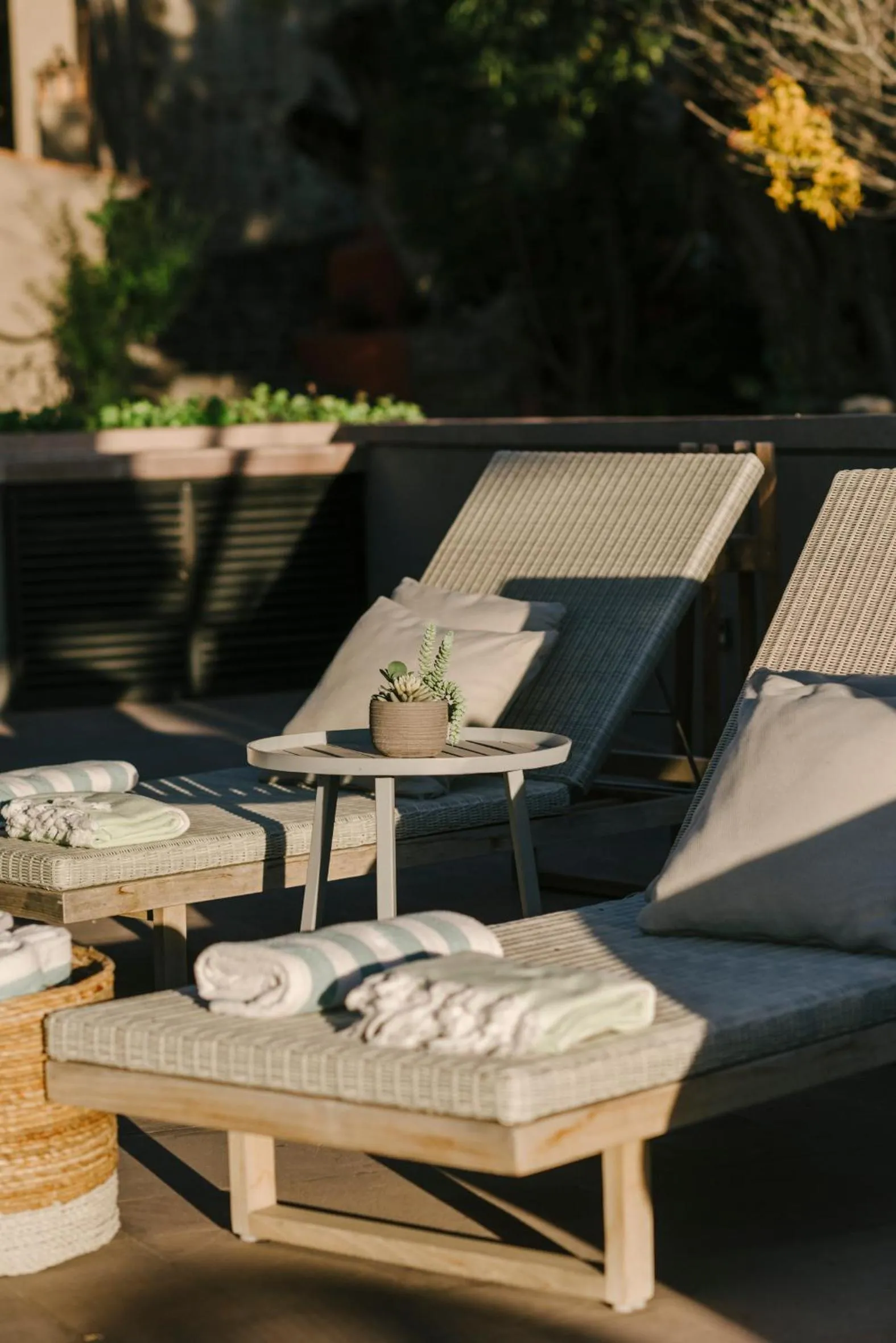 Hotel Apapacho Boutique