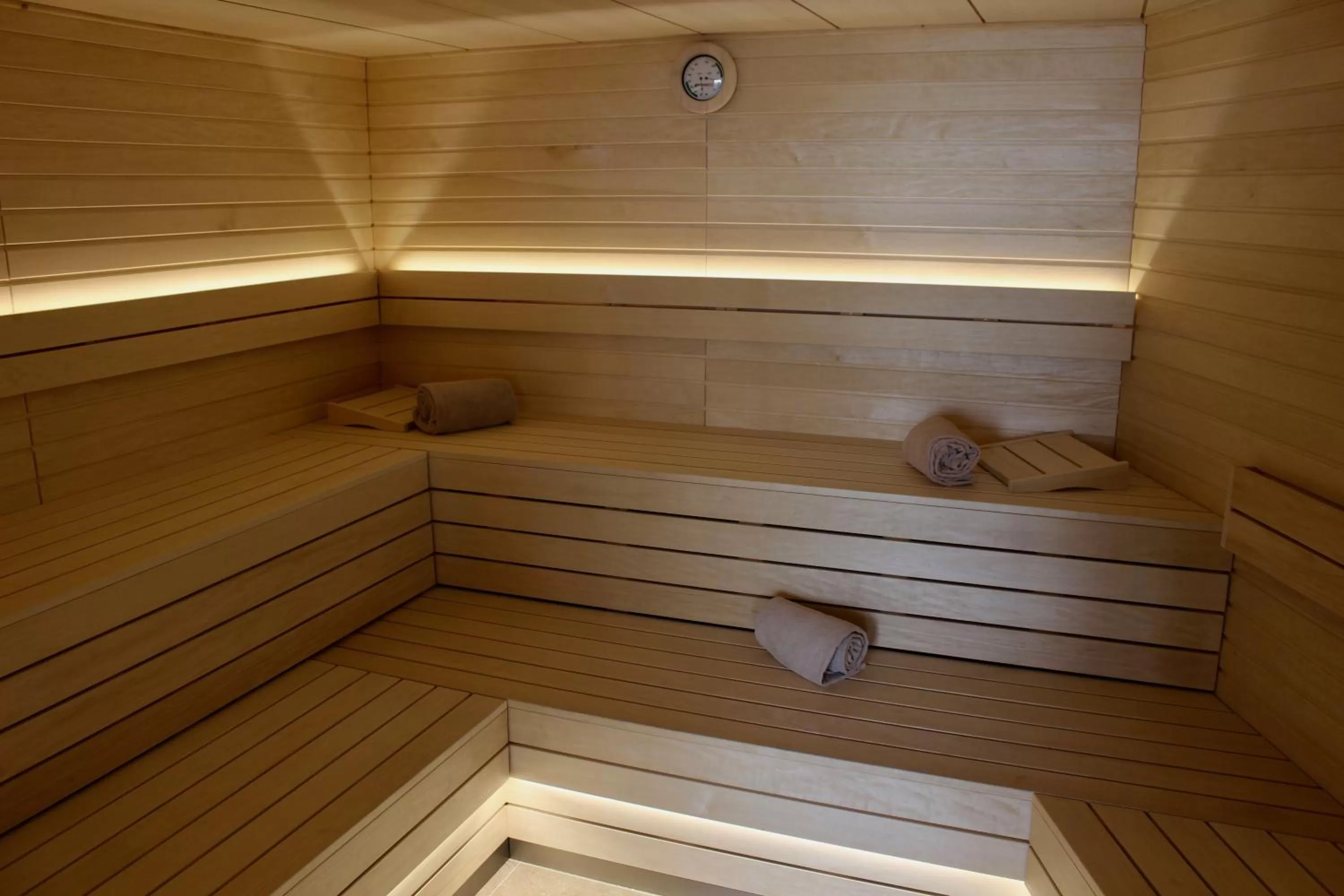 Sauna in Chateau du Clos de la Ribaudiere - Teritoria