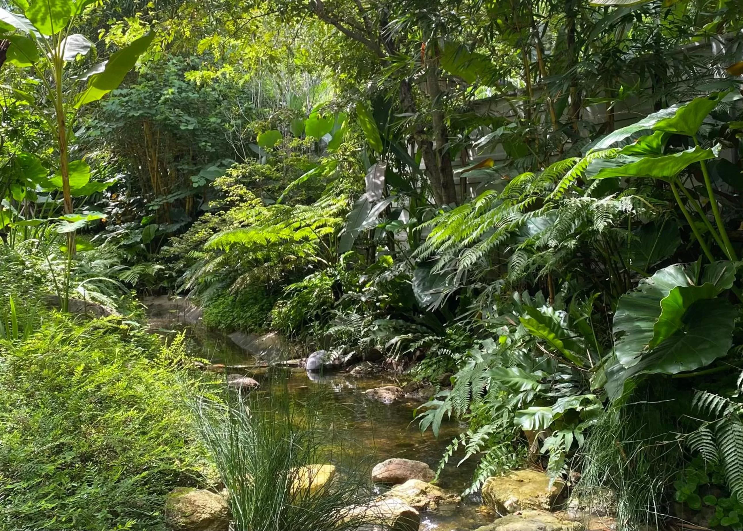 View (from property/room) in Proud Phu Fah Muang Chiang Mai