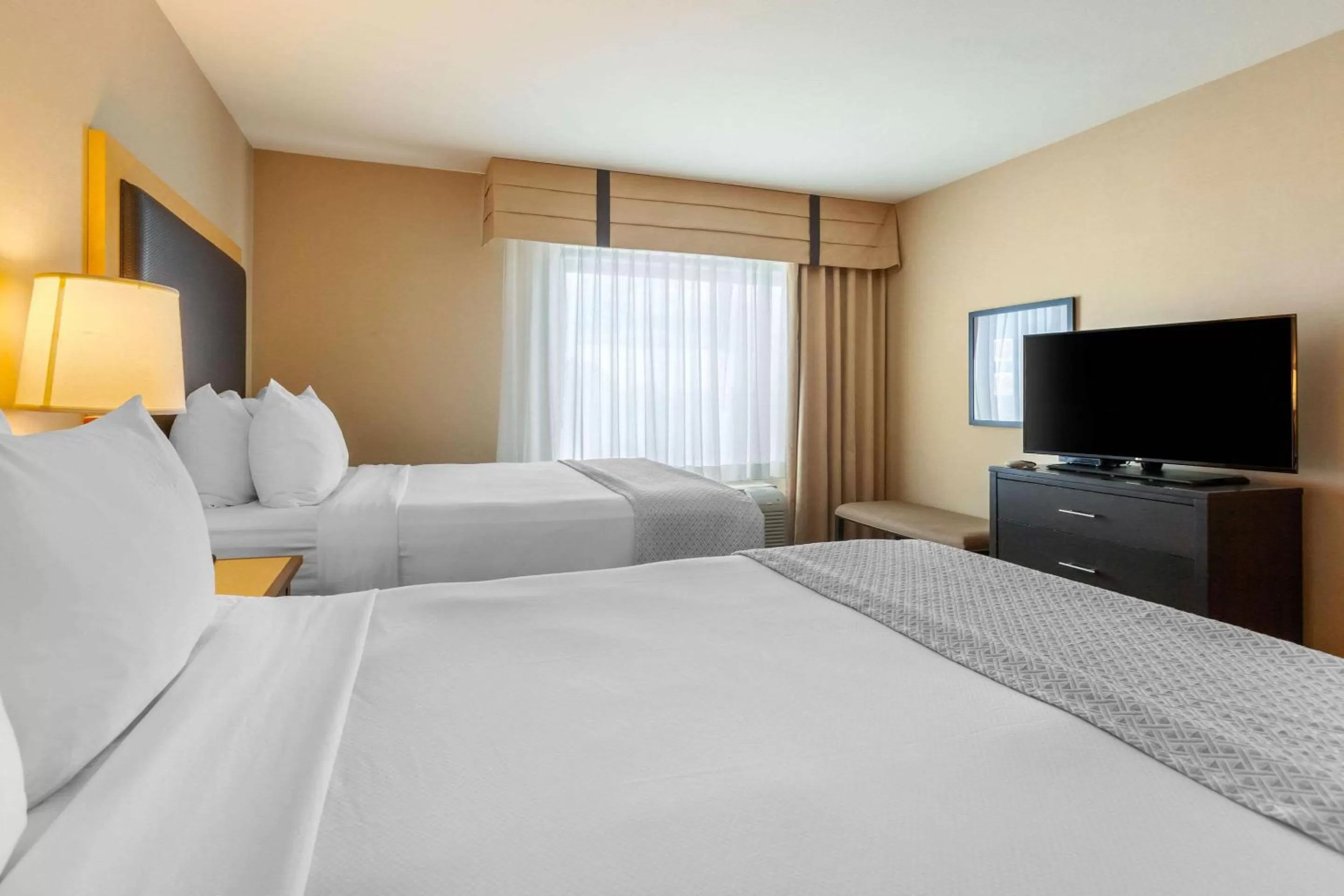 Photo of the whole room in Cambria Hotel Ft Collins