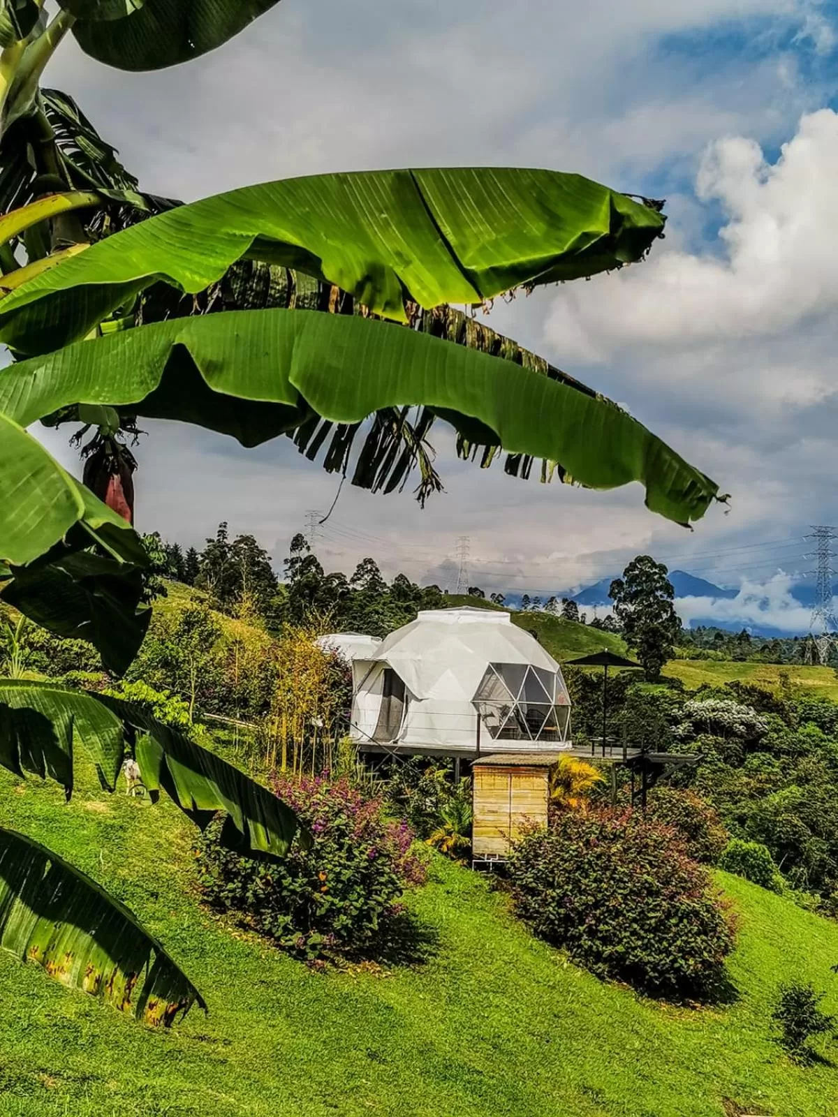 Garden in Ecohotel Monte Tierra Habitaciones y Glamping