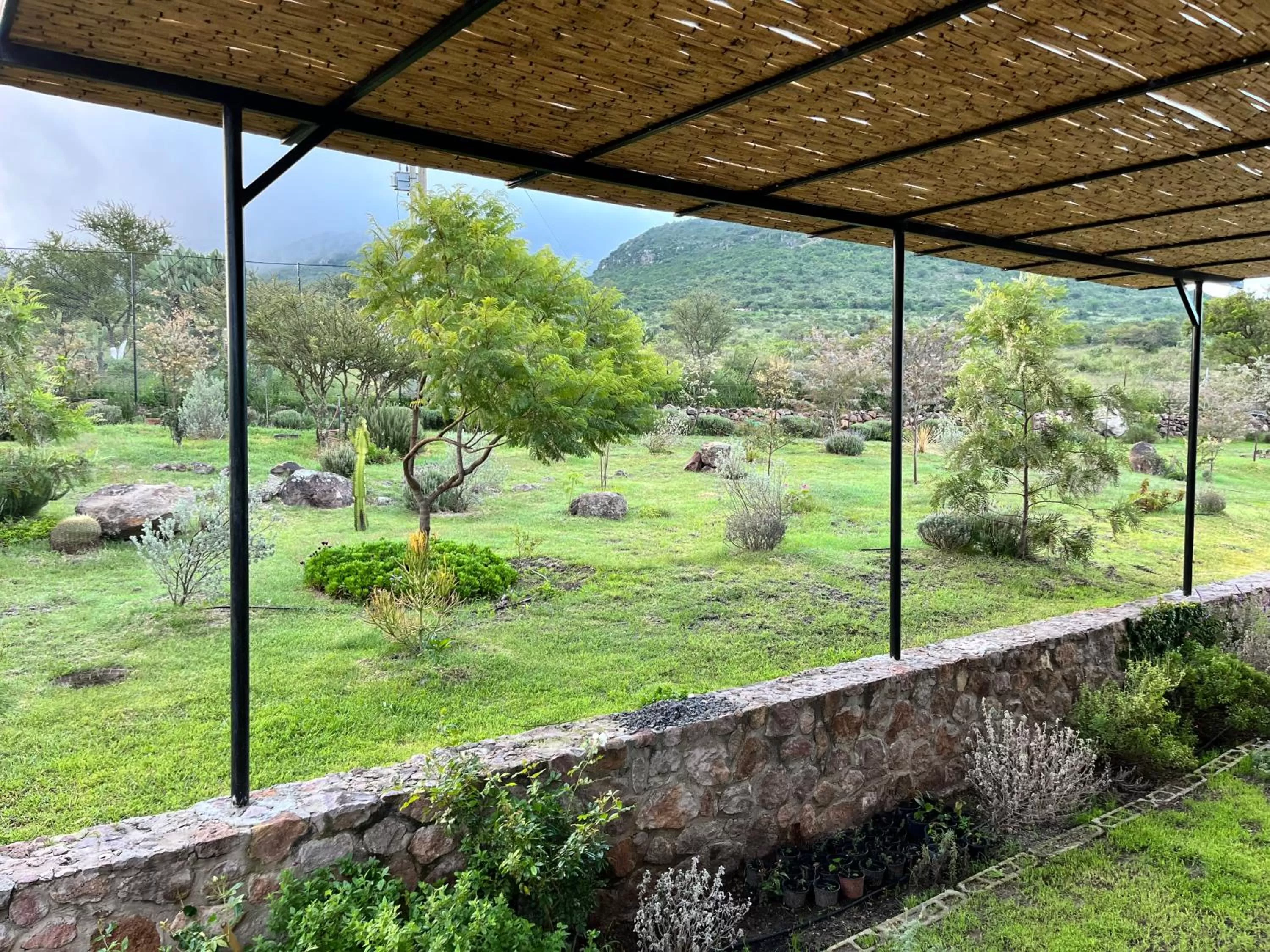 Garden in Casa Terra SMA