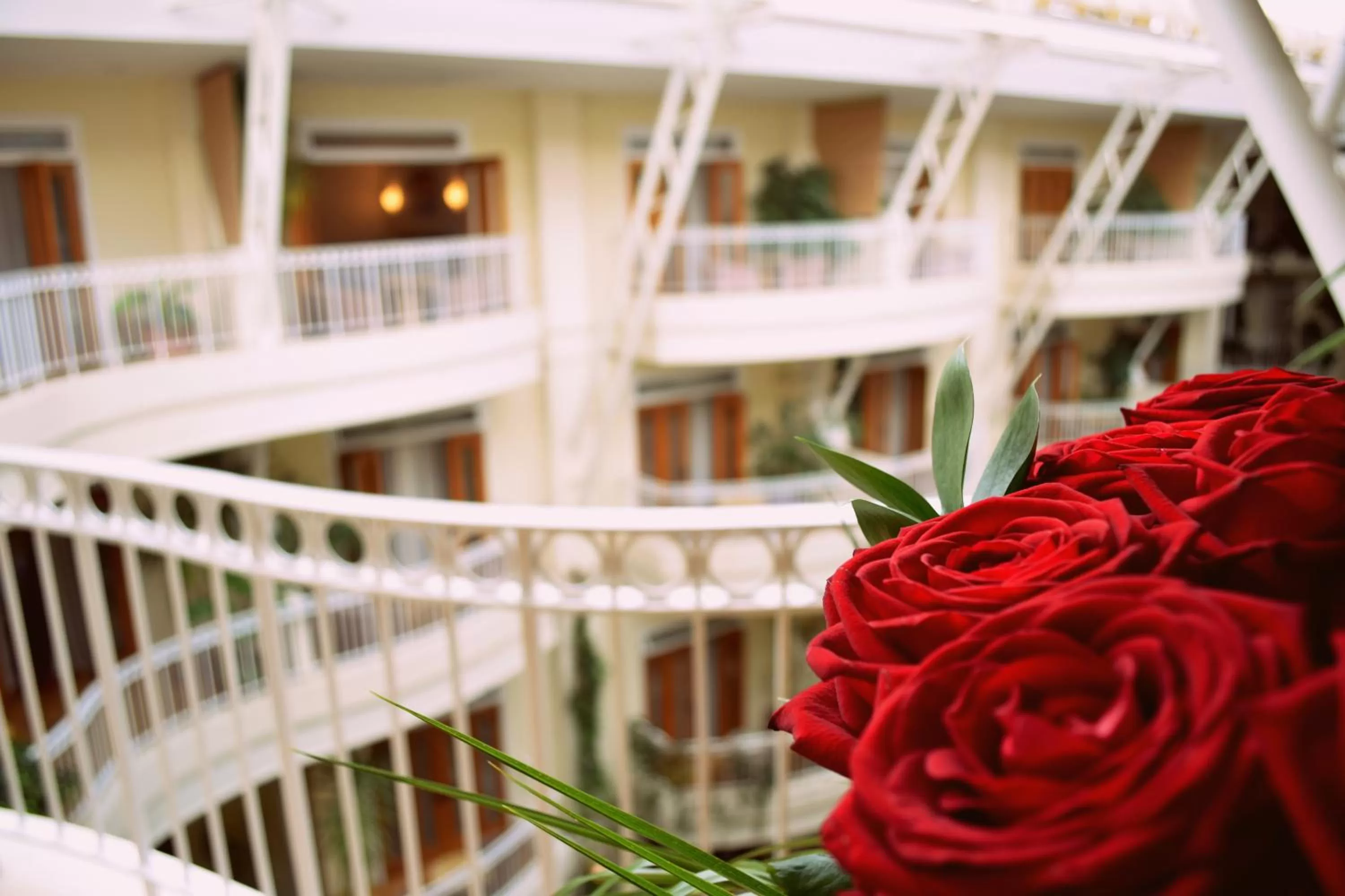 View (from property/room) in The Sefton