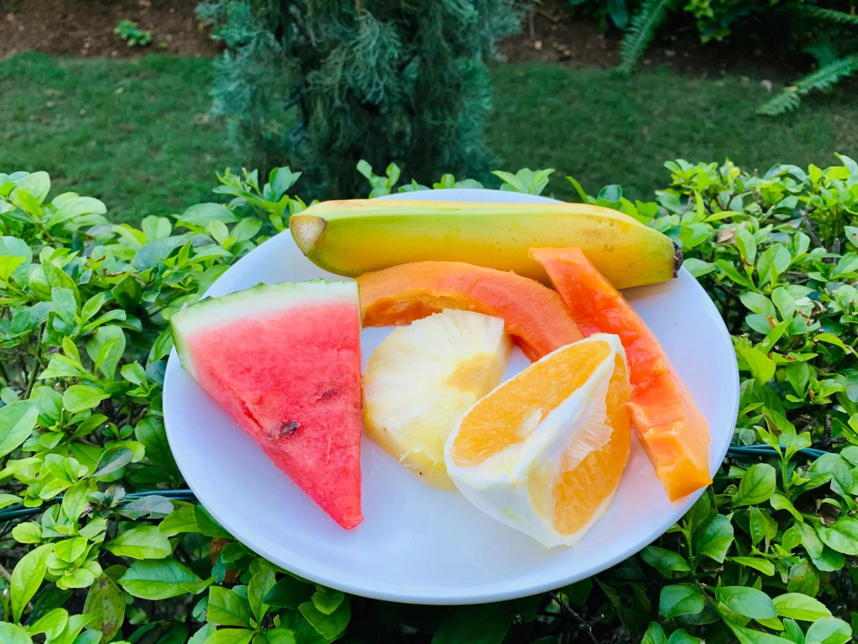 Breakfast in Mynt Retreat Bed & Breakfast