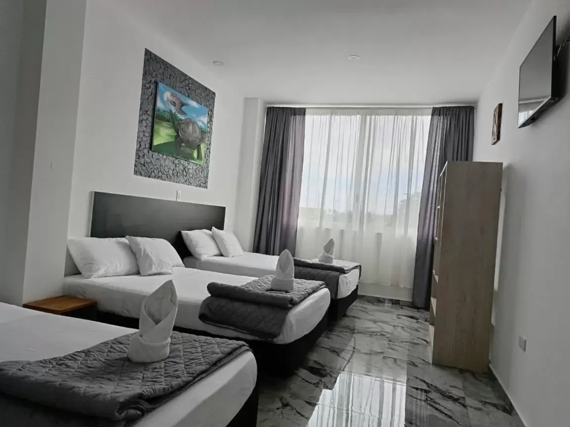 Family Room in Patty House Galapagos Family Room in Patty House Galapagos