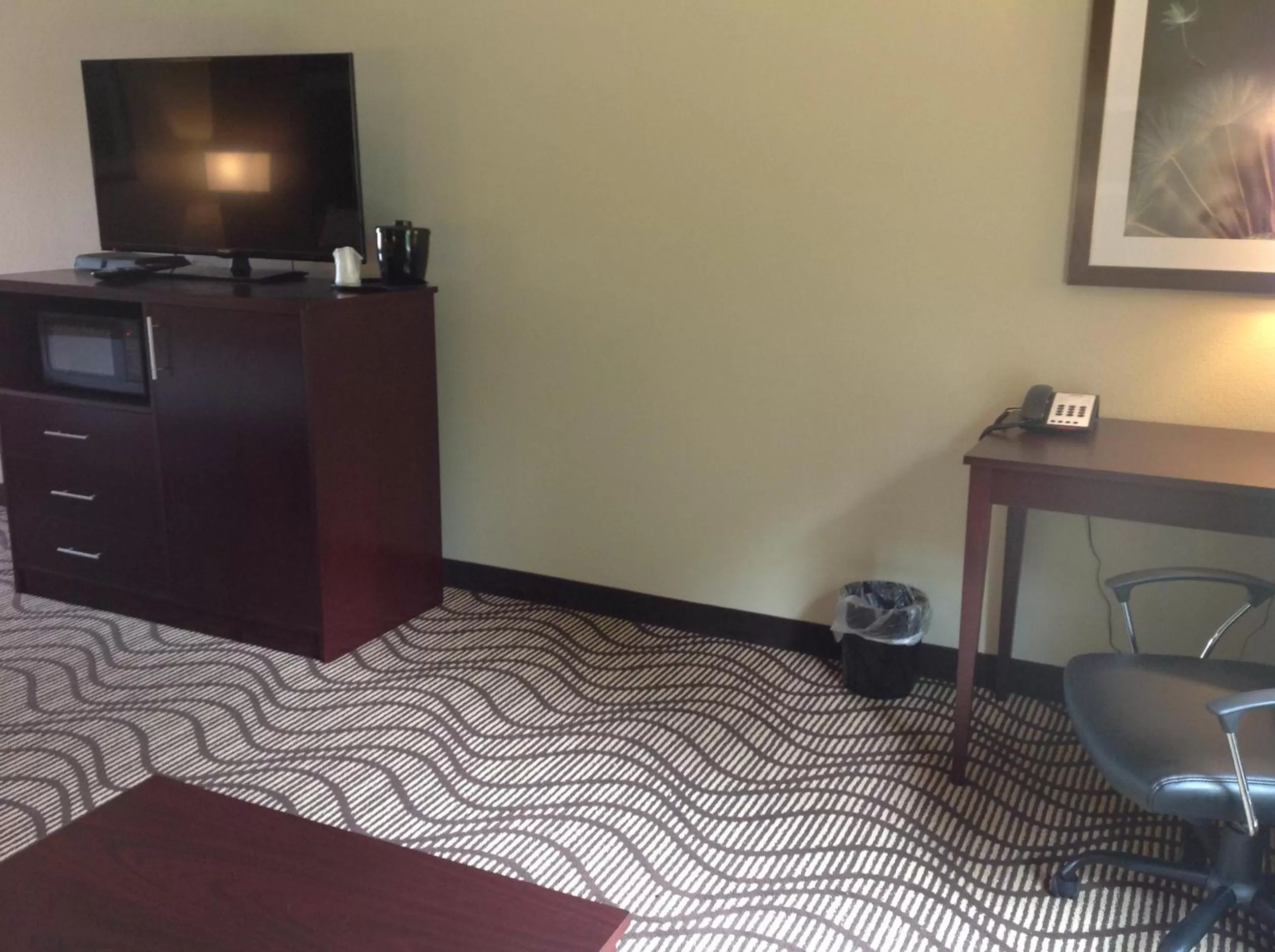 TV and multimedia in Executive Inn and Suites Jefferson